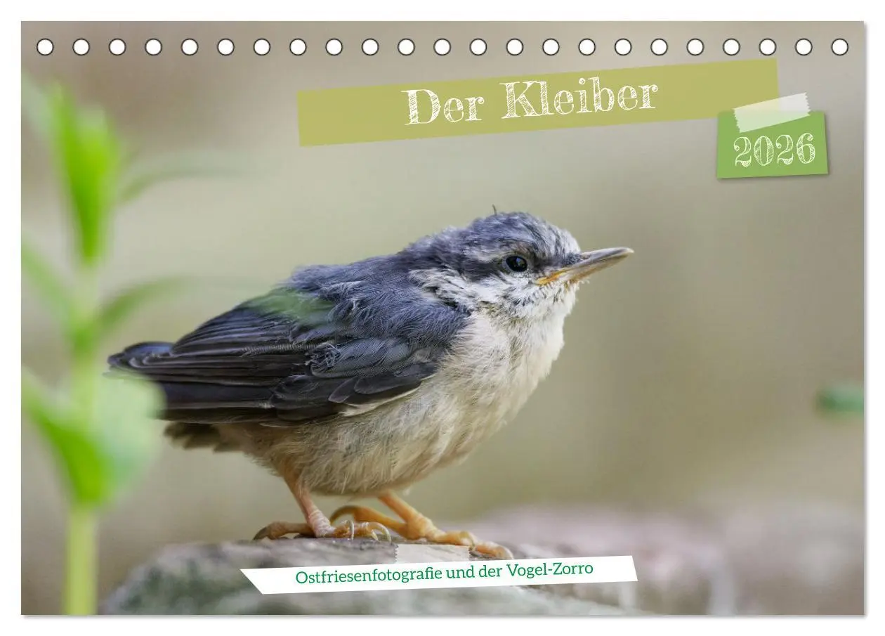 Cover: 9783457414200 | Der Kleiber - Ostfriesenfotografie und der Vogel-Zorro...