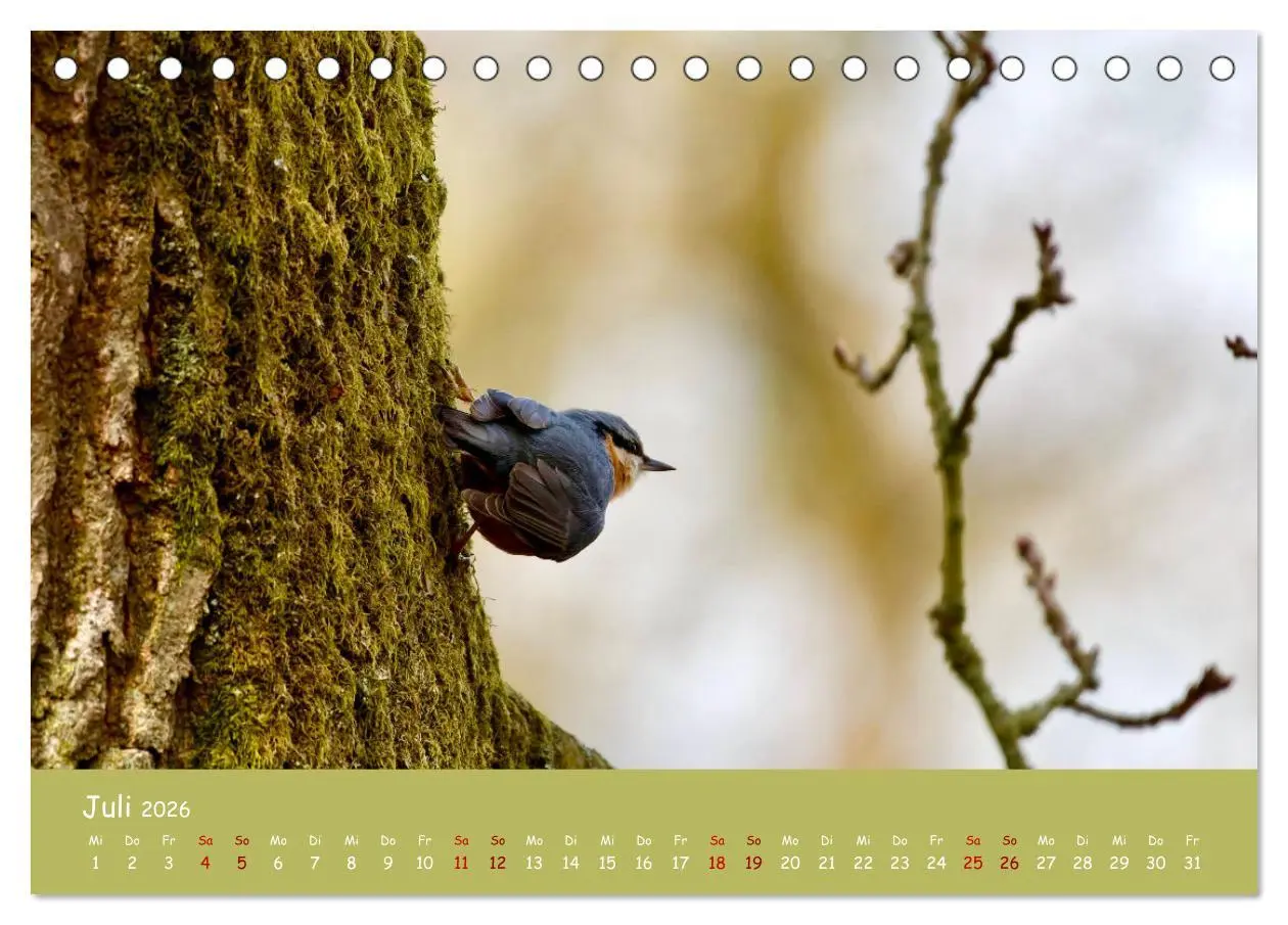 Bild: 9783457414200 | Der Kleiber - Ostfriesenfotografie und der Vogel-Zorro...