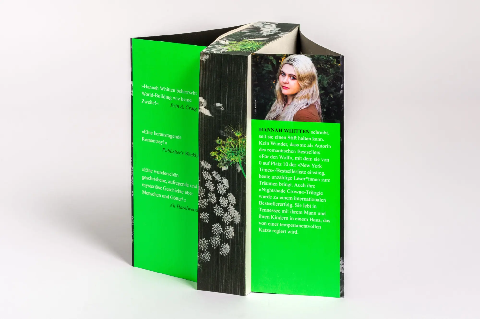Bild: 9783734164200 | The Hemlock Queen - Ein Hauch von Schatten | Hannah Whitten | Buch