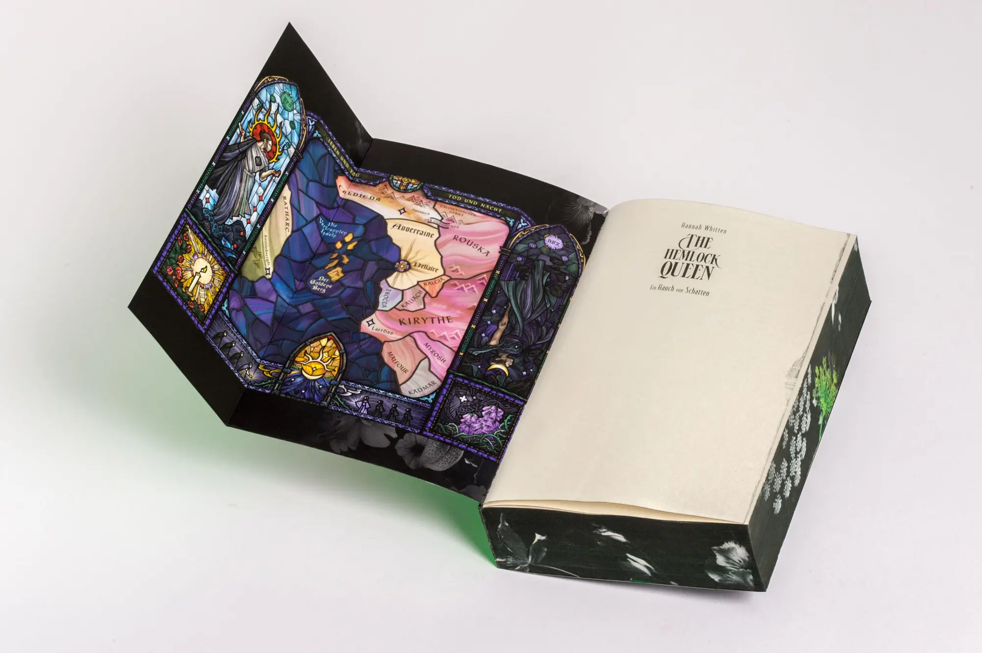 Bild: 9783734164200 | The Hemlock Queen - Ein Hauch von Schatten | Hannah Whitten | Buch