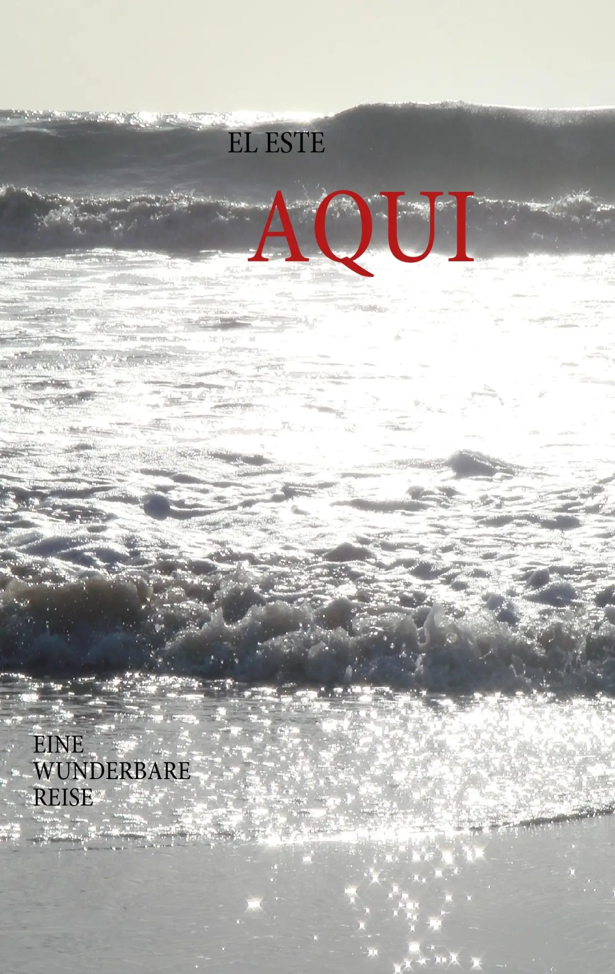 Cover: 9783839104200 | AQUI | Eine wunderbare Reise | Lothar Stadler | Taschenbuch | 124 S.