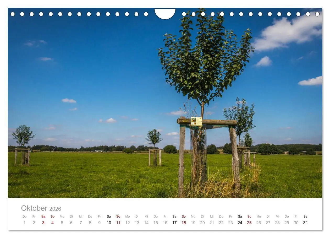 Bild: 9783457884300 | Schönes Märkisches Sauerland (Wandkalender 2026 DIN A4 quer),...