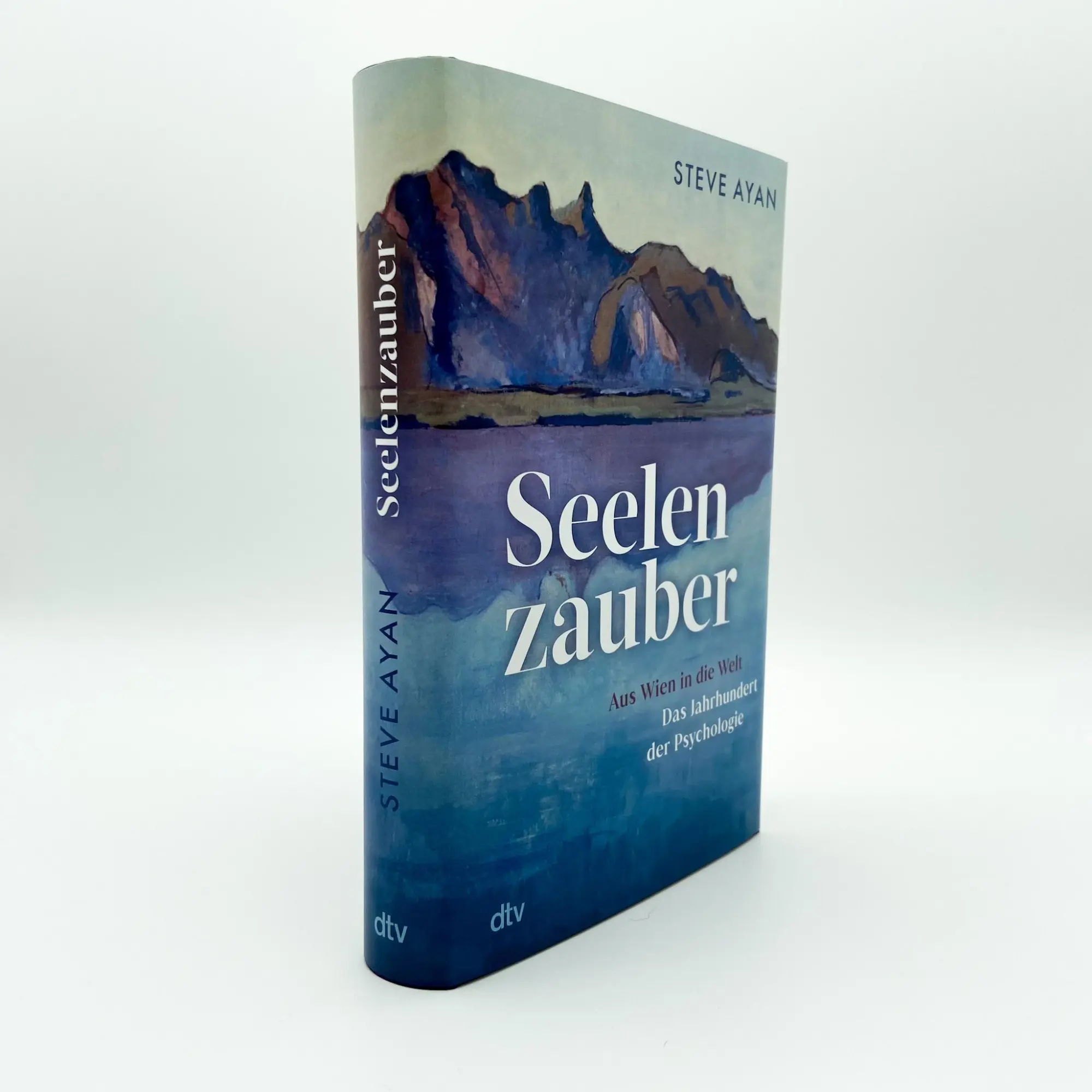 Bild: 9783423284400 | Seelenzauber | Steve Ayan | Buch | 400 S. | Deutsch | 2024