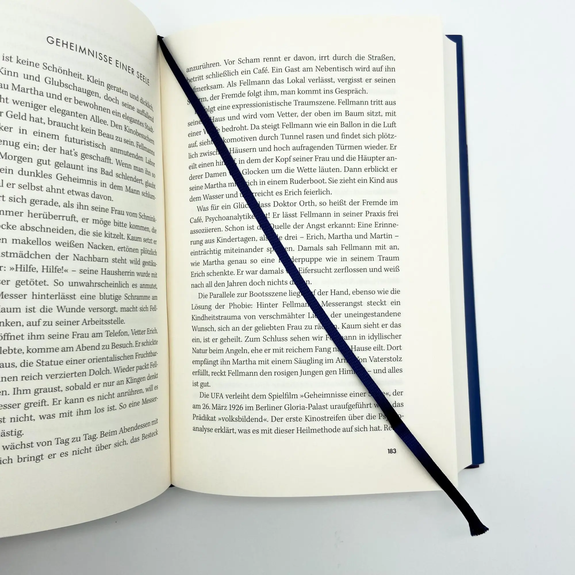 Bild: 9783423284400 | Seelenzauber | Steve Ayan | Buch | 400 S. | Deutsch | 2024