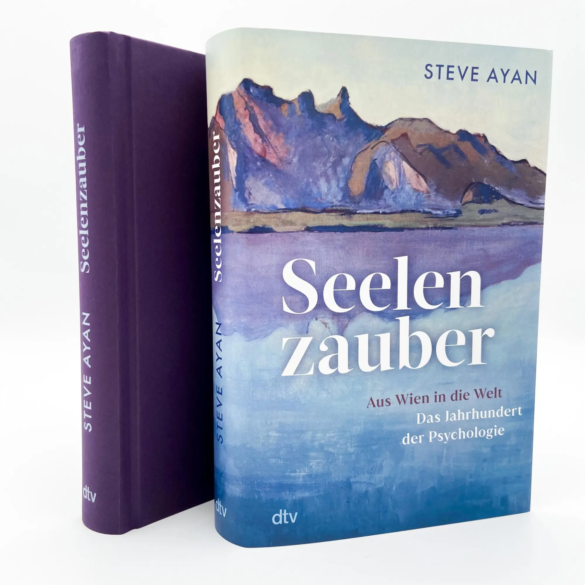 Bild: 9783423284400 | Seelenzauber | Steve Ayan | Buch | 400 S. | Deutsch | 2024