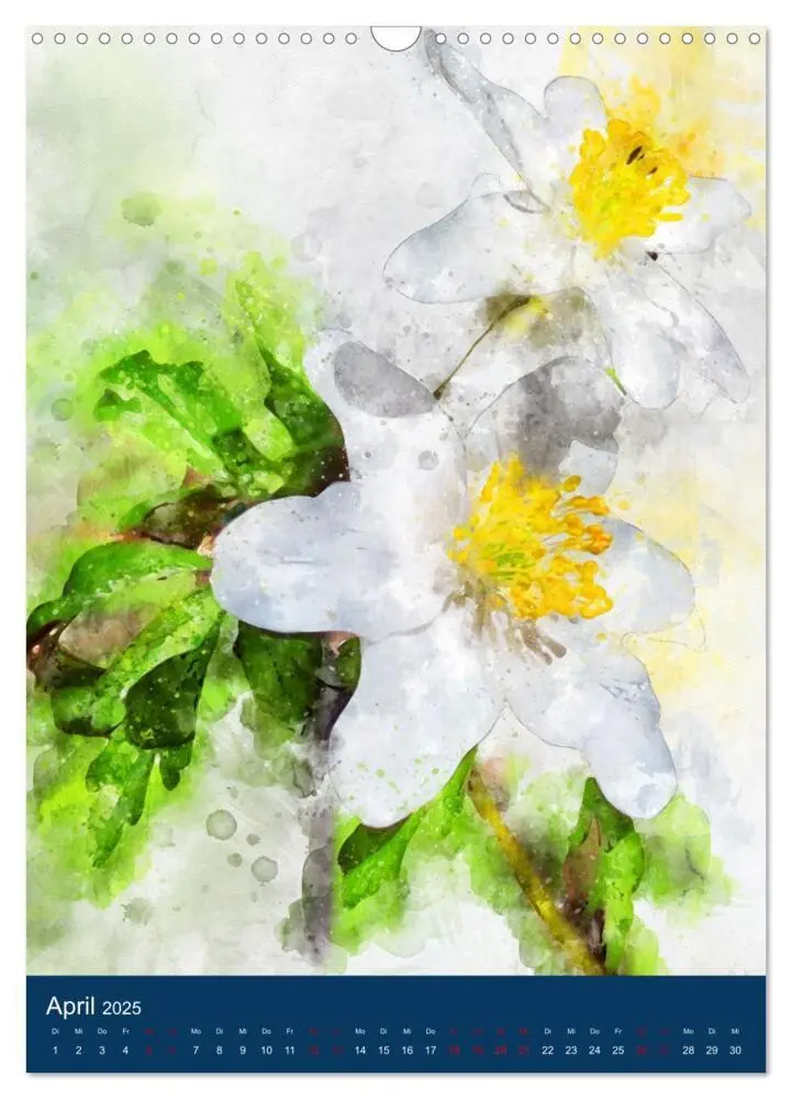 Bild: 9783435924400 | Wilde Blumen - Illustrierter Blütenzauber der Pflanzenwelt...