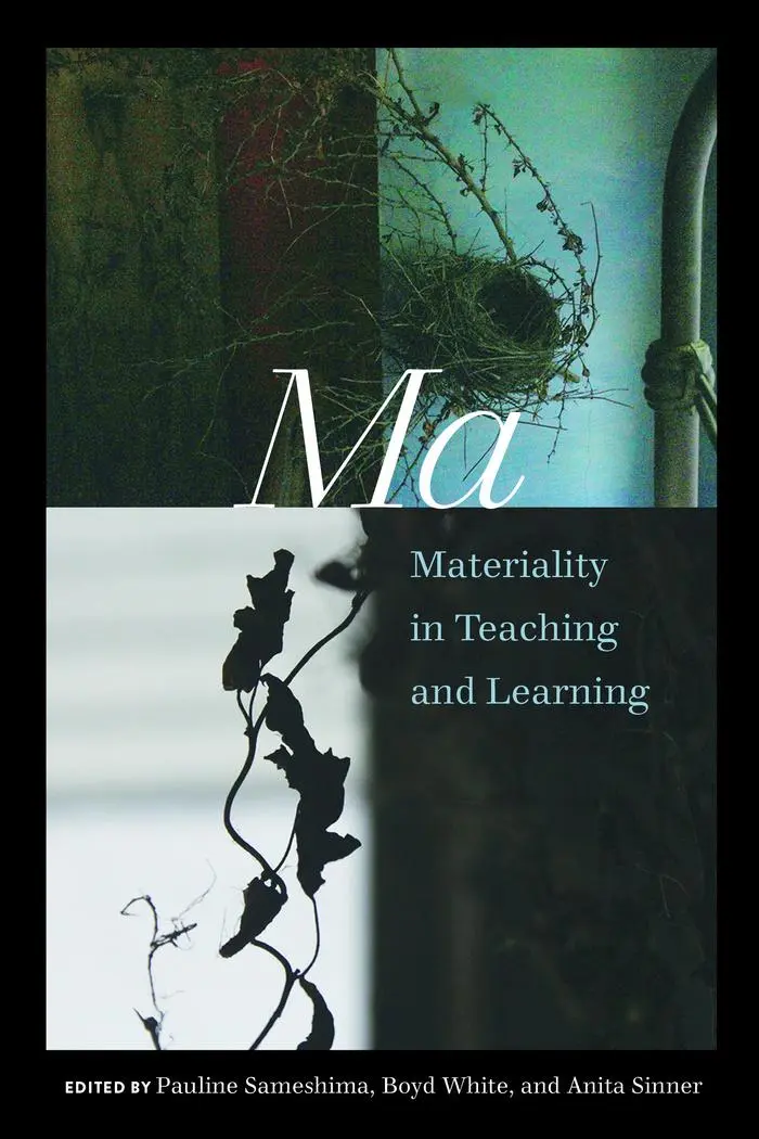Cover: 9781433134500 | Ma | Materiality in Teaching and Learning | Anita Sinner (u. a.)