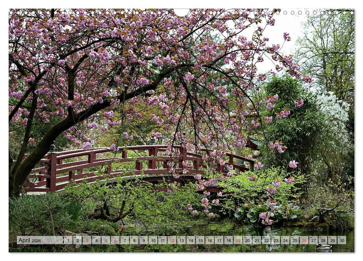 Bild: 9783457794500 | Leverkusen Hitdorf Wiesdorf Opladen (Wandkalender 2026 DIN A3...