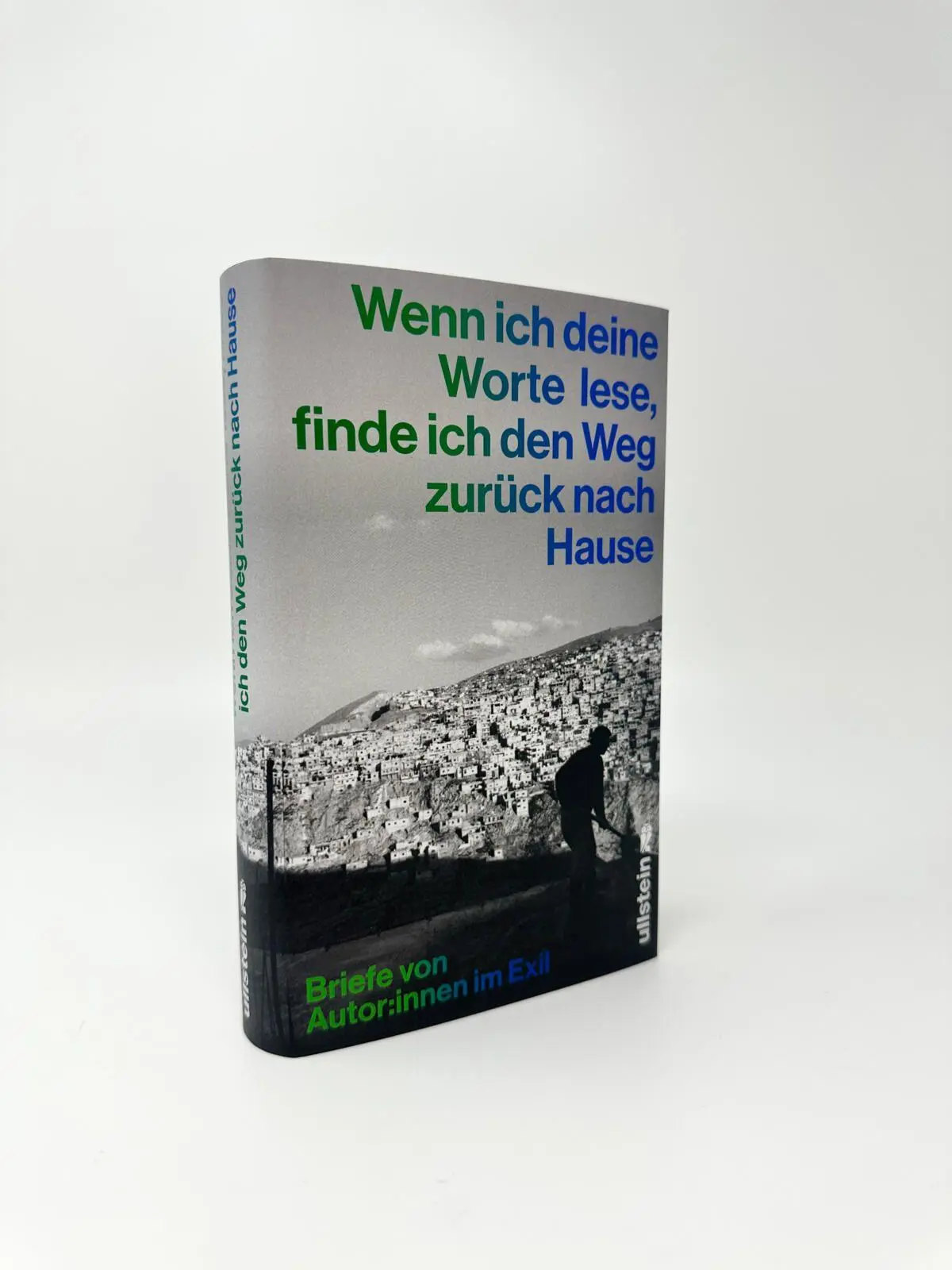 Bild: 9783550204500 | Wenn ich deine Worte lese, finde ich den Weg zurück nach Hause | Buch
