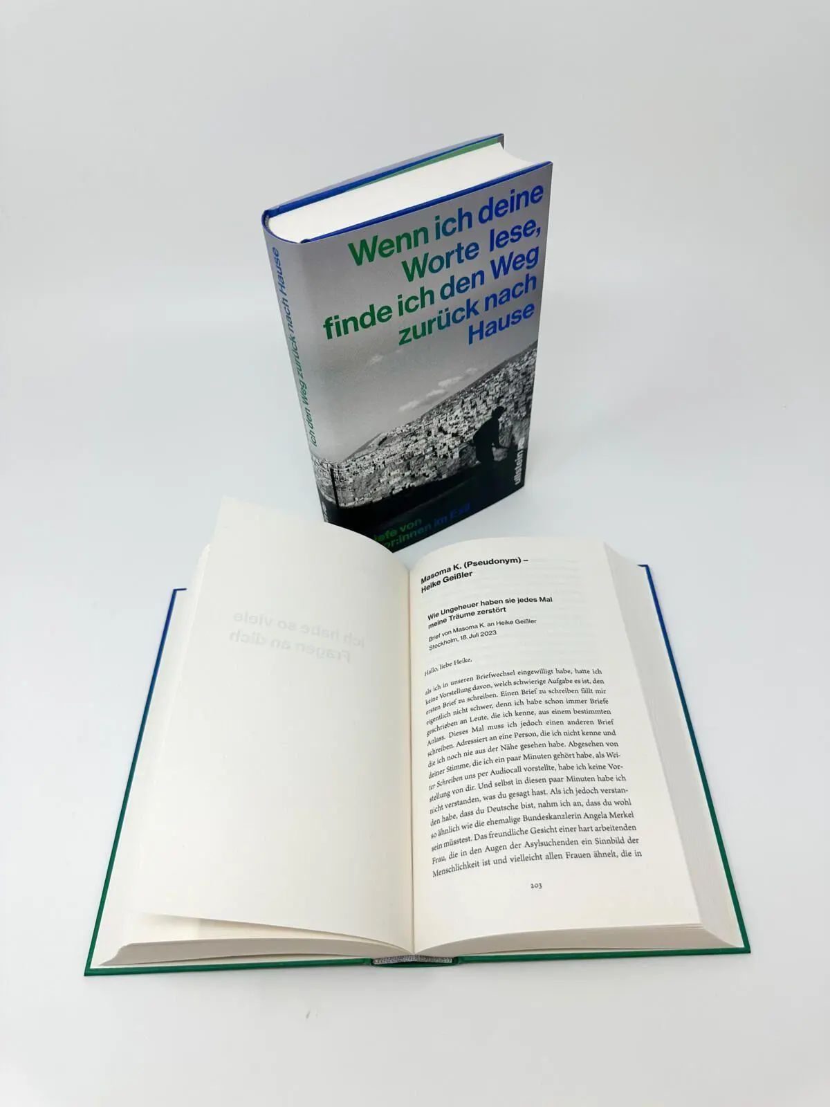 Bild: 9783550204500 | Wenn ich deine Worte lese, finde ich den Weg zurück nach Hause | Buch