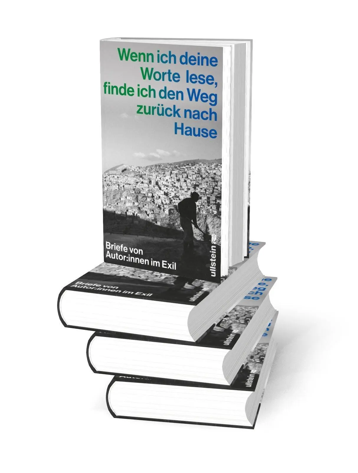 Bild: 9783550204500 | Wenn ich deine Worte lese, finde ich den Weg zurück nach Hause | Buch