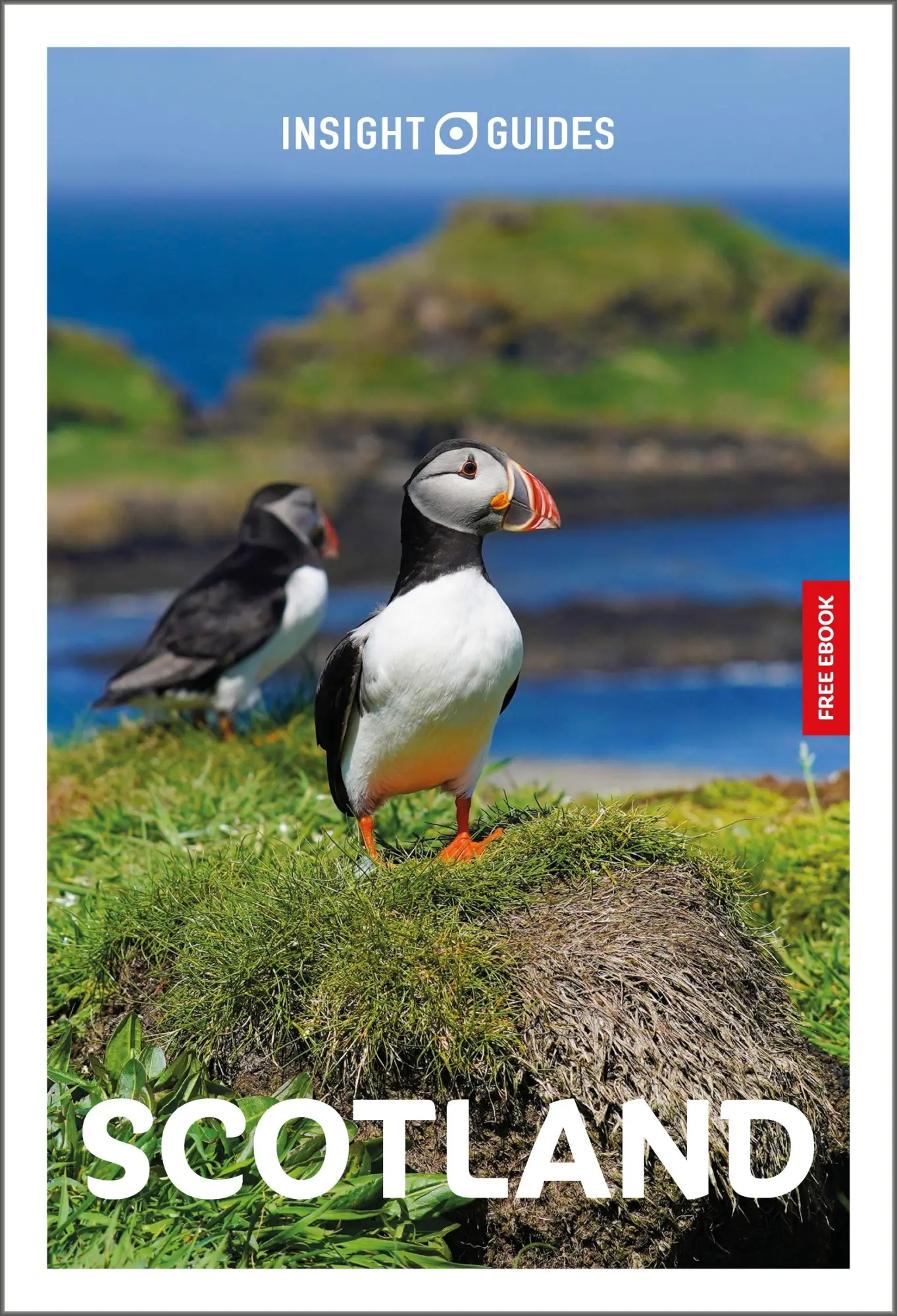 Cover: 9781839054600 | Insight Guides Scotland: Travel Guide with eBook | Norm Longley | Buch