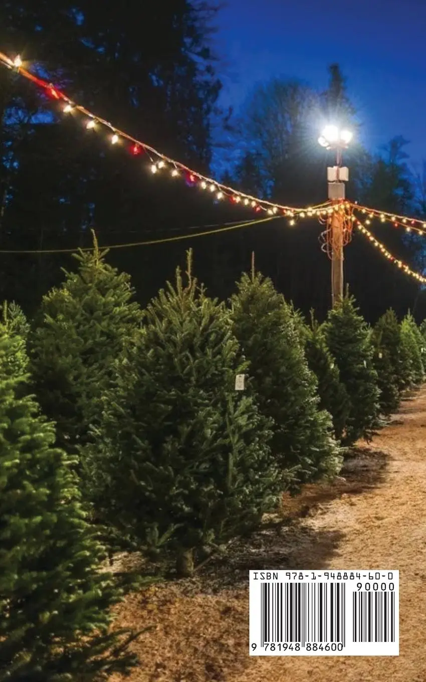 Rückseite: 9781948884600 | Another Christmas Story | Dave Benneman | Taschenbuch | Englisch