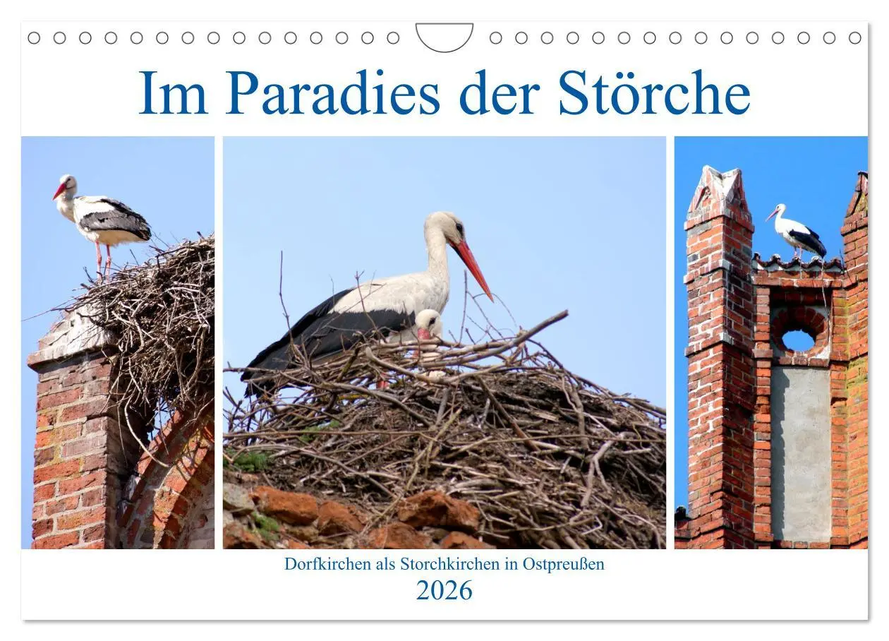 Cover: 9783457784600 | Im Paradies der Störche - Dorfkirchen als Storchkirchen in...