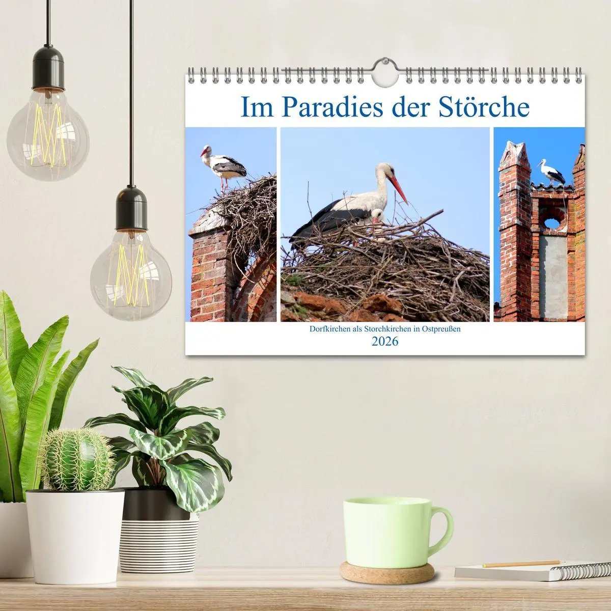 Bild: 9783457784600 | Im Paradies der Störche - Dorfkirchen als Storchkirchen in...