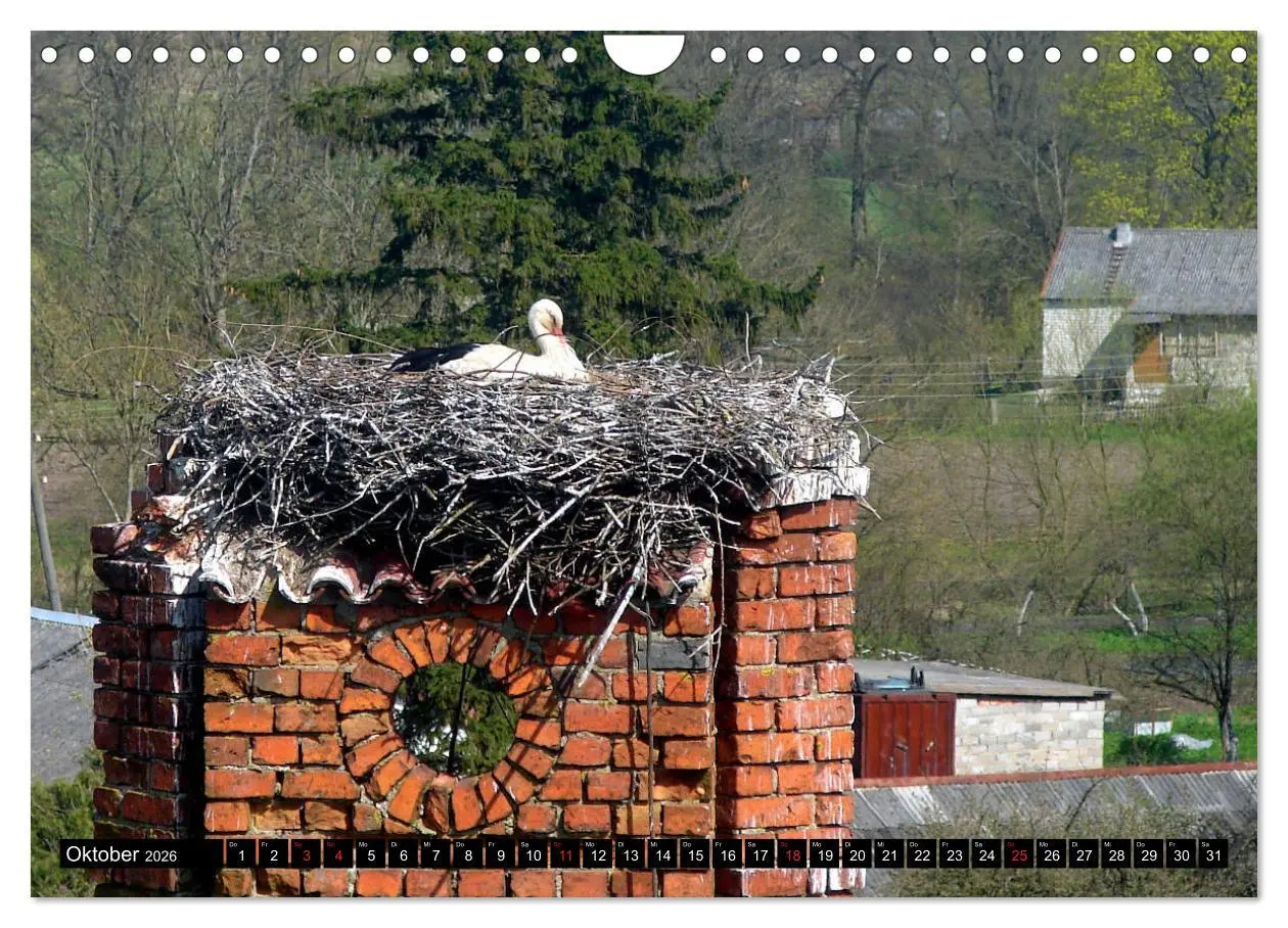 Bild: 9783457784600 | Im Paradies der Störche - Dorfkirchen als Storchkirchen in...