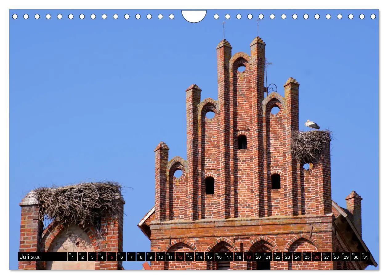 Bild: 9783457784600 | Im Paradies der Störche - Dorfkirchen als Storchkirchen in...