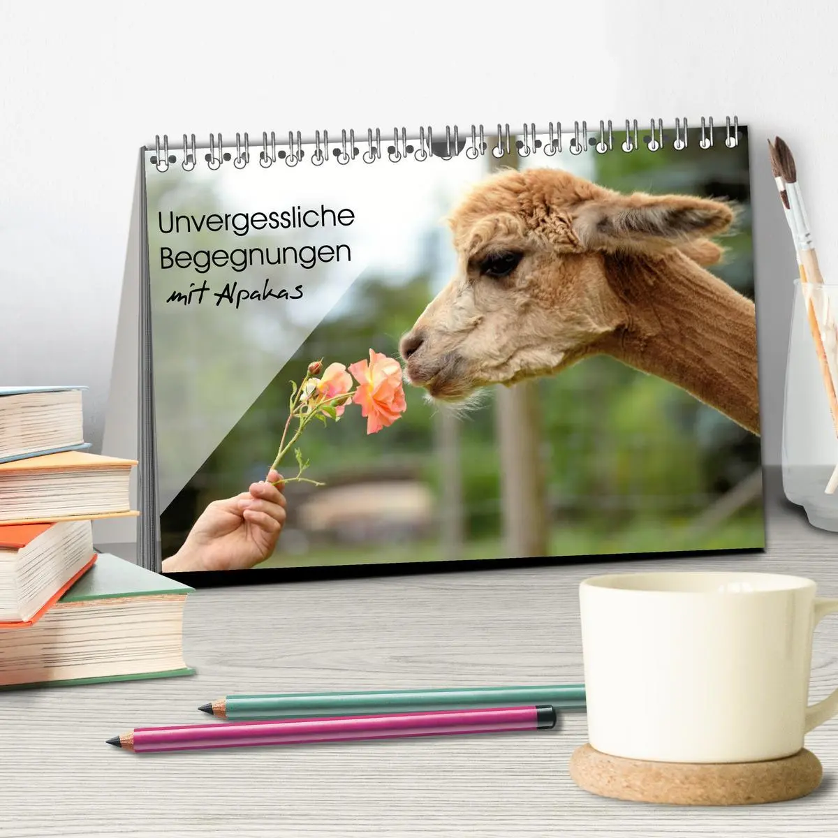 Bild: 9783457854600 | Unvergessliche Begegnungen mit Alpakas (Tischkalender 2026 DIN A5...