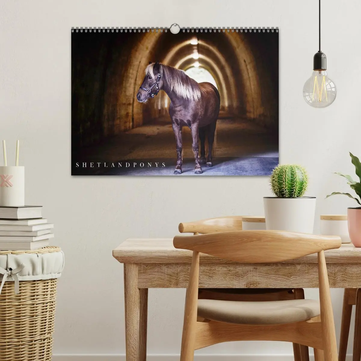 Bild: 9783457924600 | Shetlandpony Kalender (Wandkalender 2026 DIN A3 quer), CALVENDO...