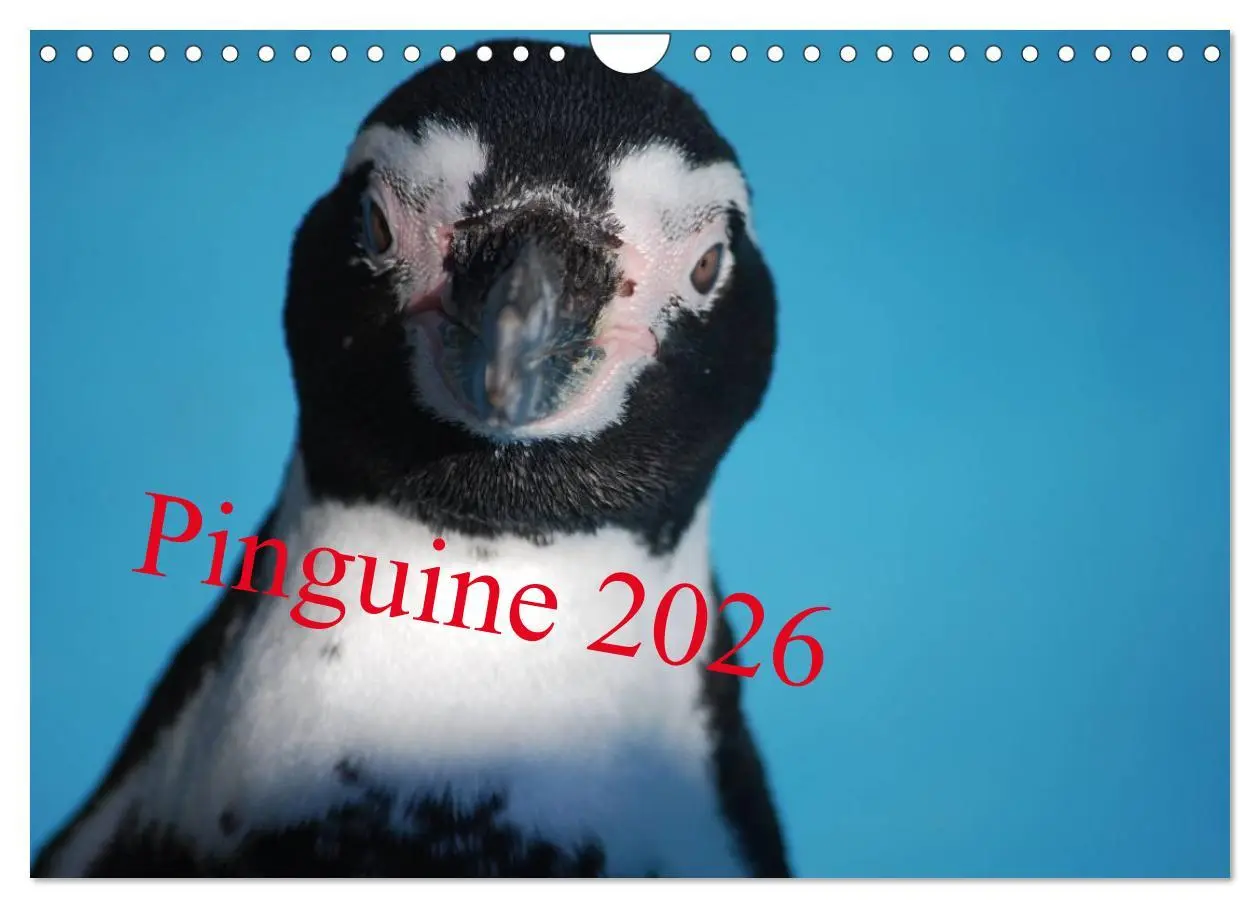Cover: 9783516184600 | Pinguine 2026 (Wandkalender 2026 DIN A4 quer), CALVENDO Monatskalender