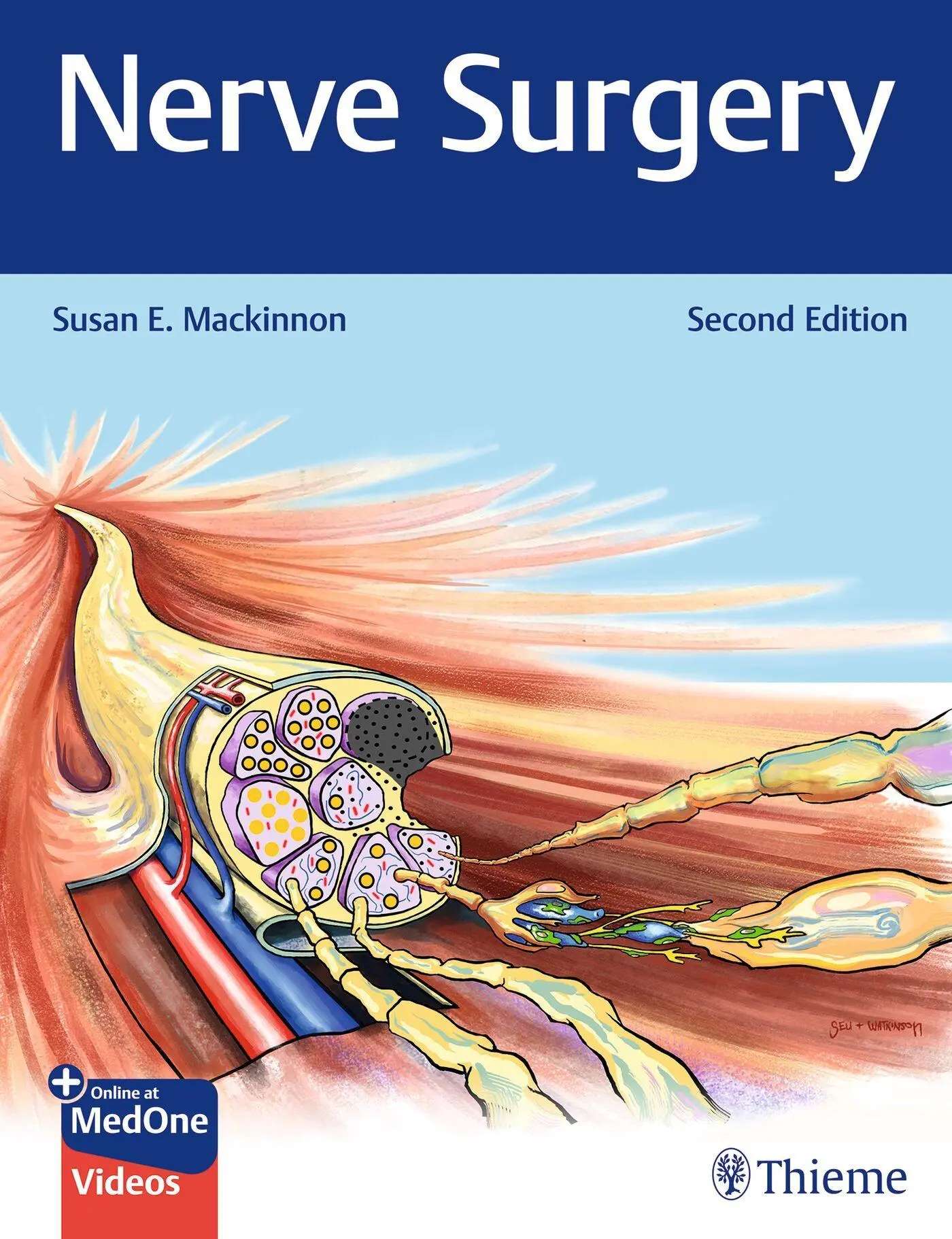 Cover: 9781684204700 | Nerve Surgery | Susan E. Mackinnon | Bundle | 1 Buch | Englisch | 2026