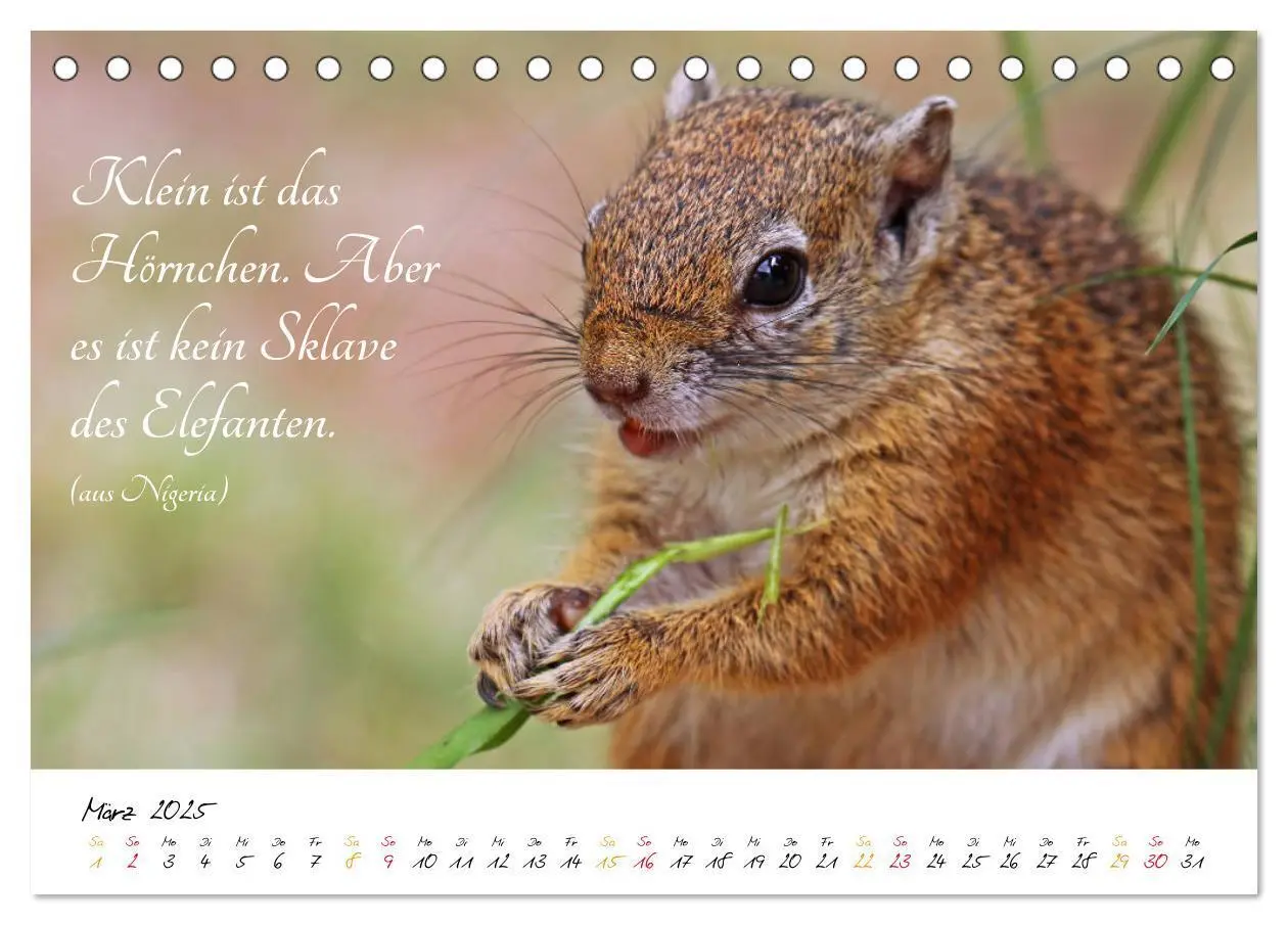 Bild: 9783435374700 | AFRIKA - Kontinent der Poesie (Tischkalender 2025 DIN A5 quer),...