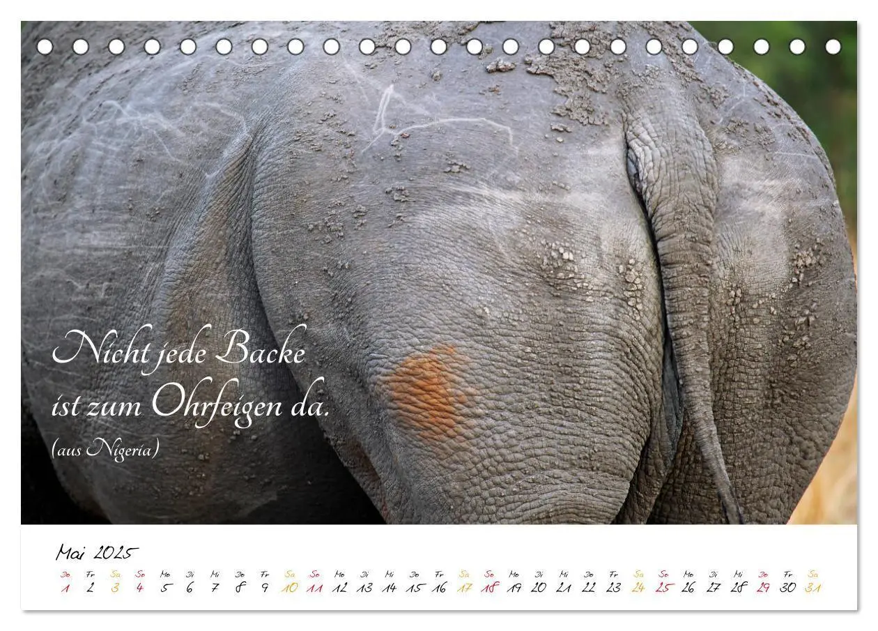 Bild: 9783435374700 | AFRIKA - Kontinent der Poesie (Tischkalender 2025 DIN A5 quer),...