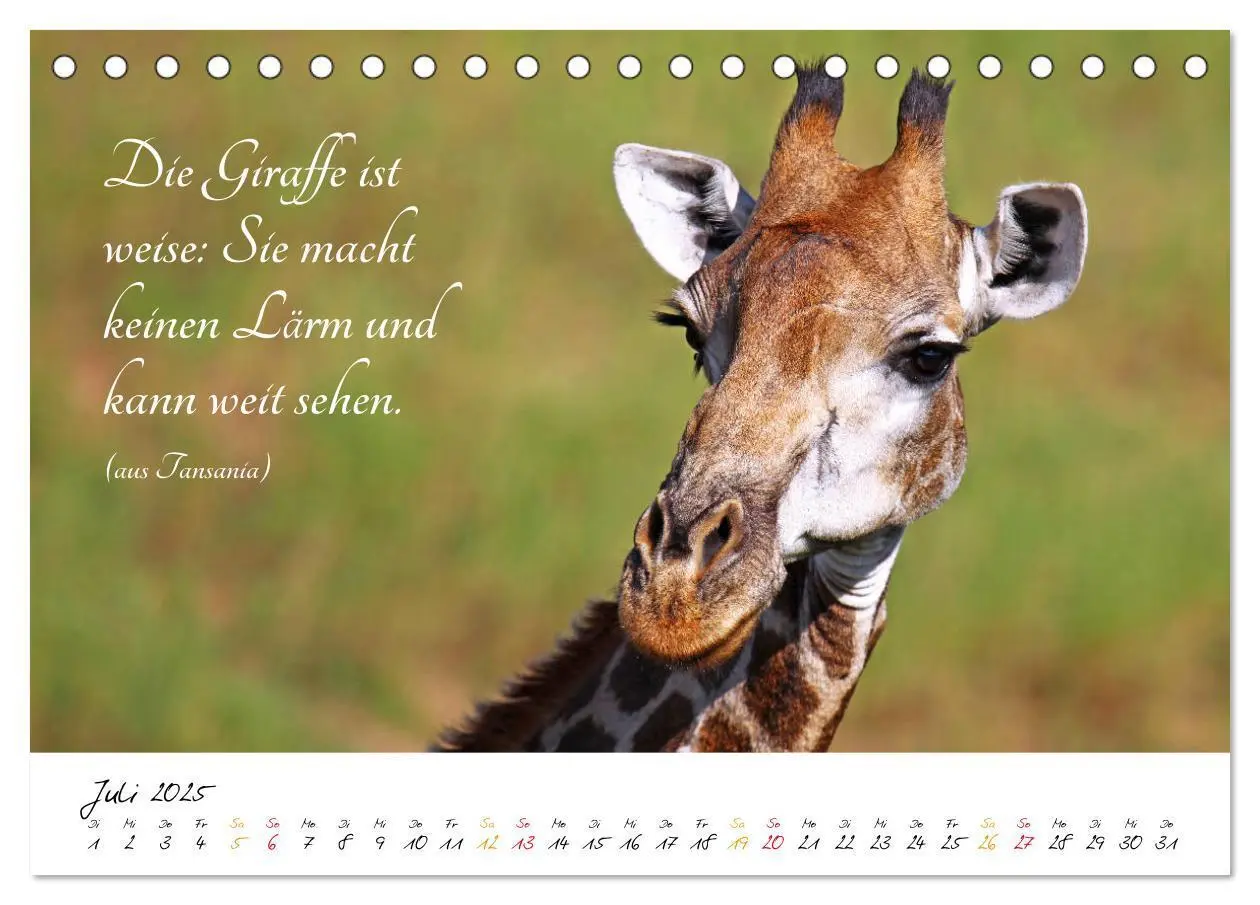 Bild: 9783435374700 | AFRIKA - Kontinent der Poesie (Tischkalender 2025 DIN A5 quer),...