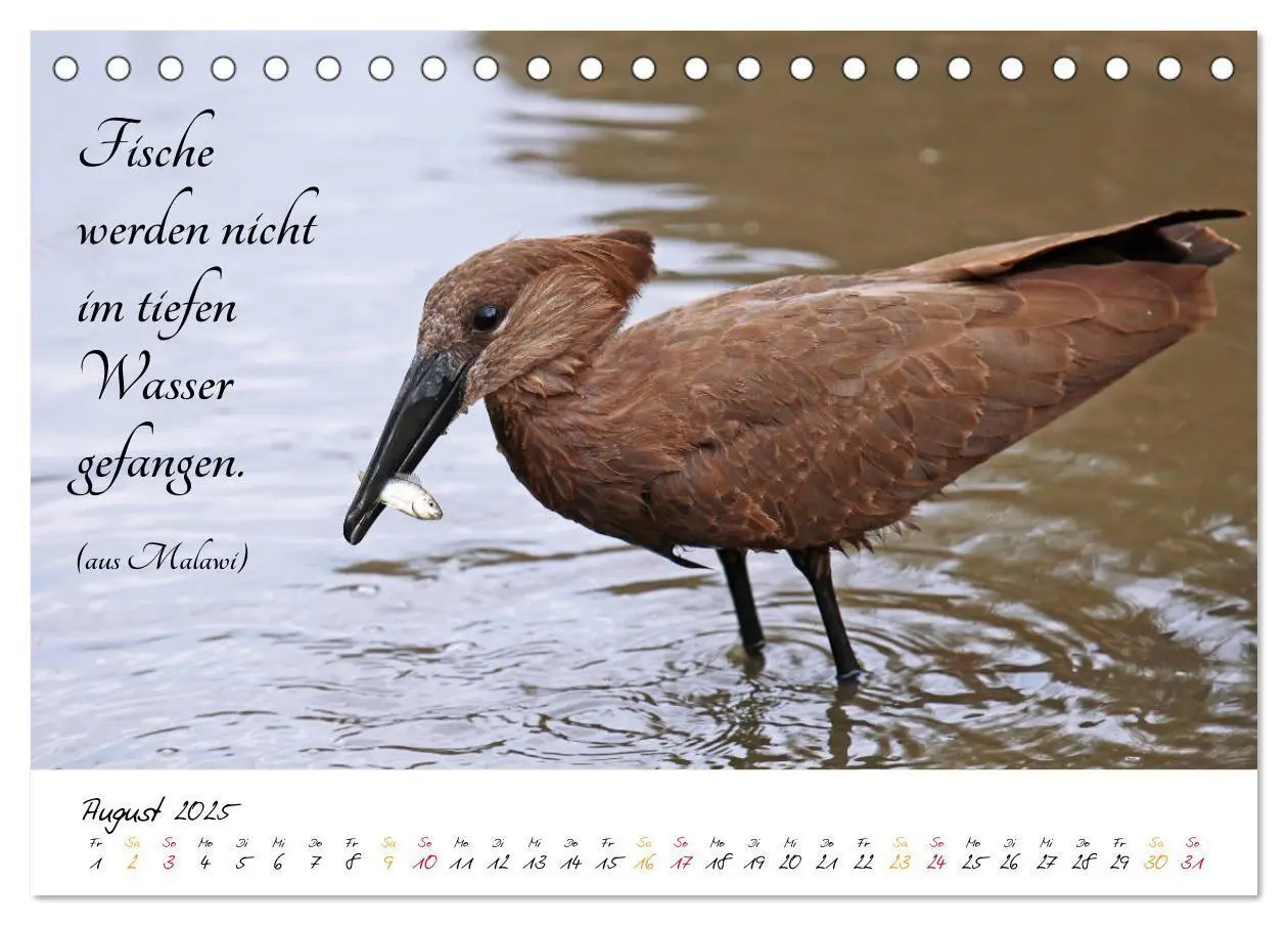 Bild: 9783435374700 | AFRIKA - Kontinent der Poesie (Tischkalender 2025 DIN A5 quer),...