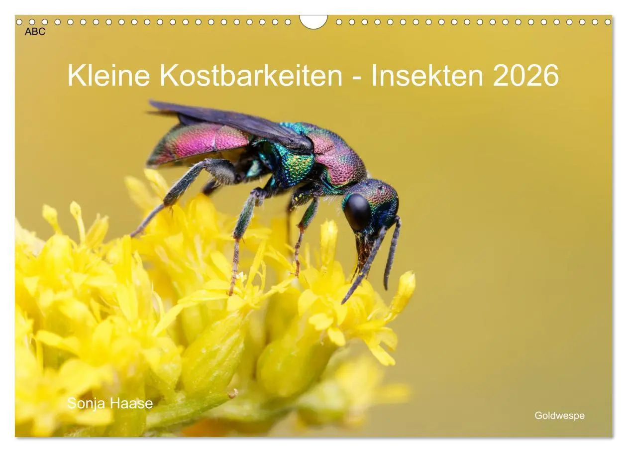Cover: 9783457604700 | Kleine Kostbarkeiten Insekten (Wandkalender 2026 DIN A3 quer),...