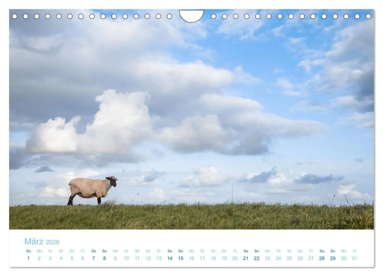 Bild: 9783457914700 | Mehr Nordsee (Wandkalender 2026 DIN A4 quer), CALVENDO Monatskalender