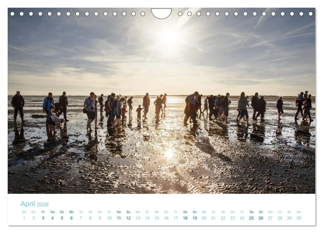 Bild: 9783457914700 | Mehr Nordsee (Wandkalender 2026 DIN A4 quer), CALVENDO Monatskalender