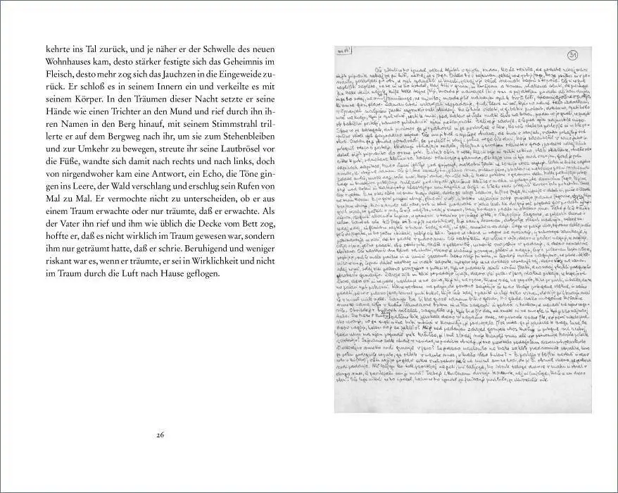 Bild: 9783518224700 | Bostjans Flug | Florjan Lipus | Buch | 167 S. | Deutsch | 2012