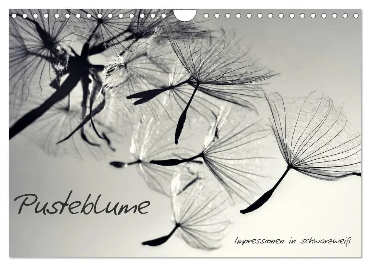 Cover: 9783594084700 | Pusteblume - Impressionen in schwarzweiß (Wandkalender 2027 DIN A4...
