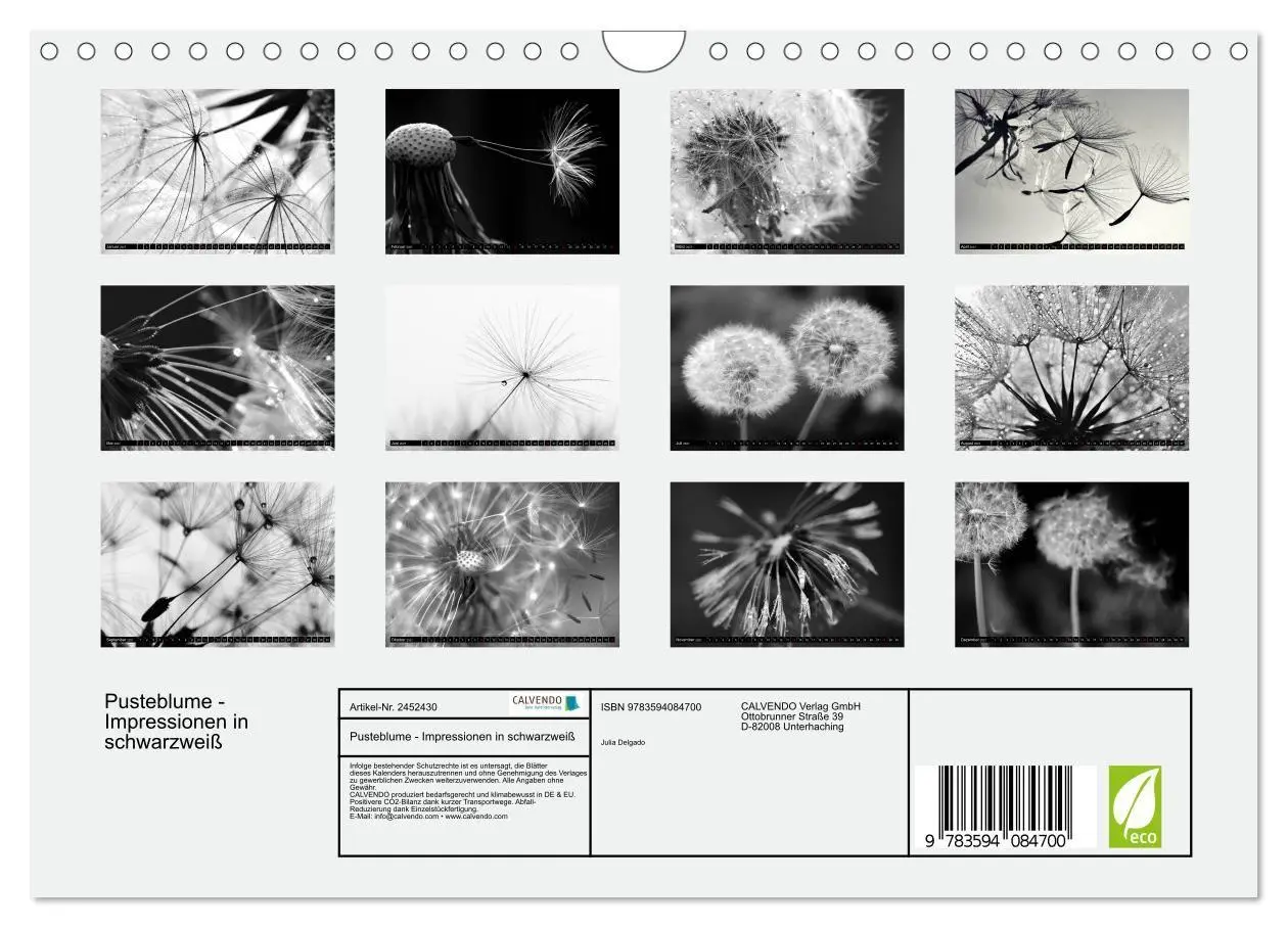 Bild: 9783594084700 | Pusteblume - Impressionen in schwarzweiß (Wandkalender 2027 DIN A4...
