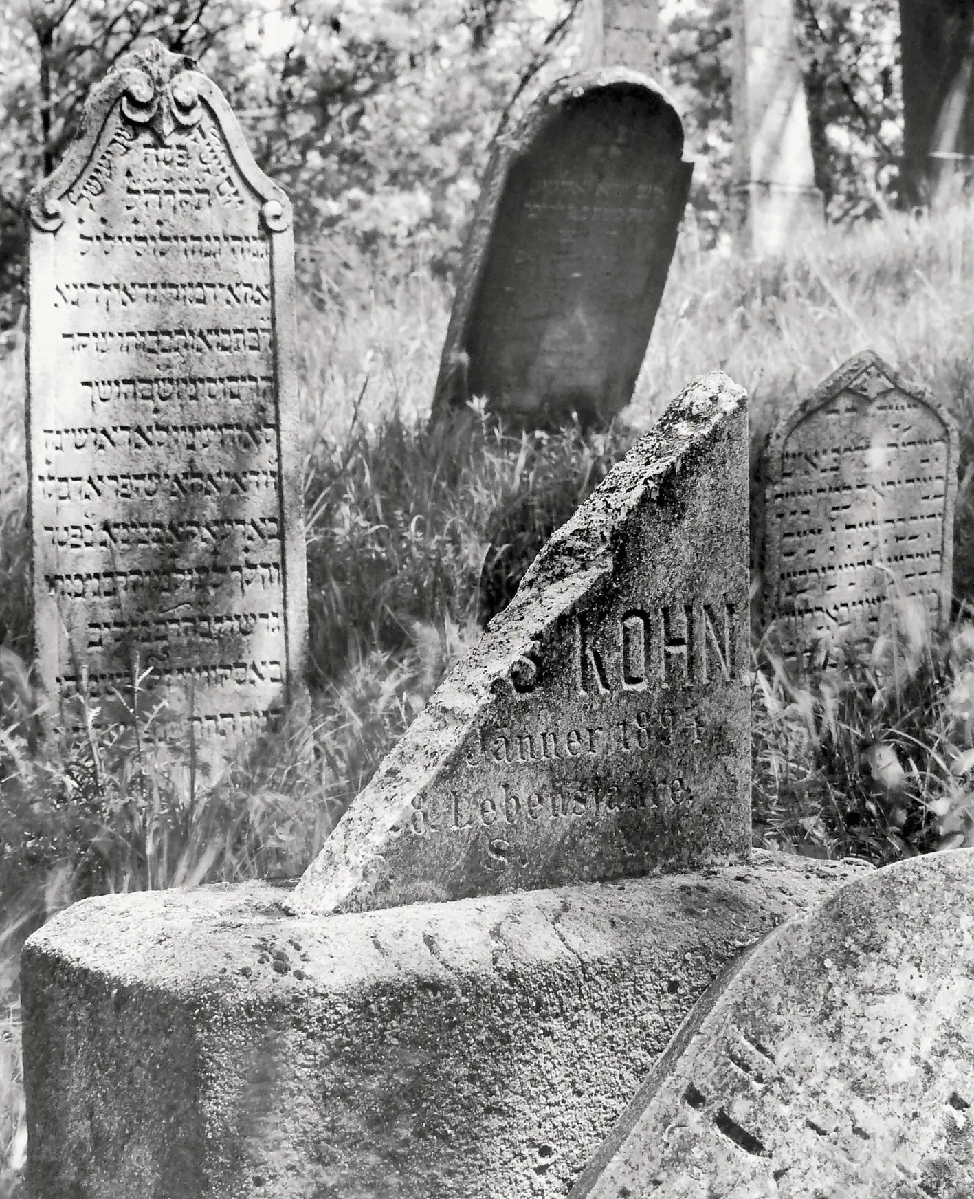 Cover: 9783854764700 | Der jüdische Friedhof von Mikulov/Zidovsky Hrbitov v Mikulove | Buch