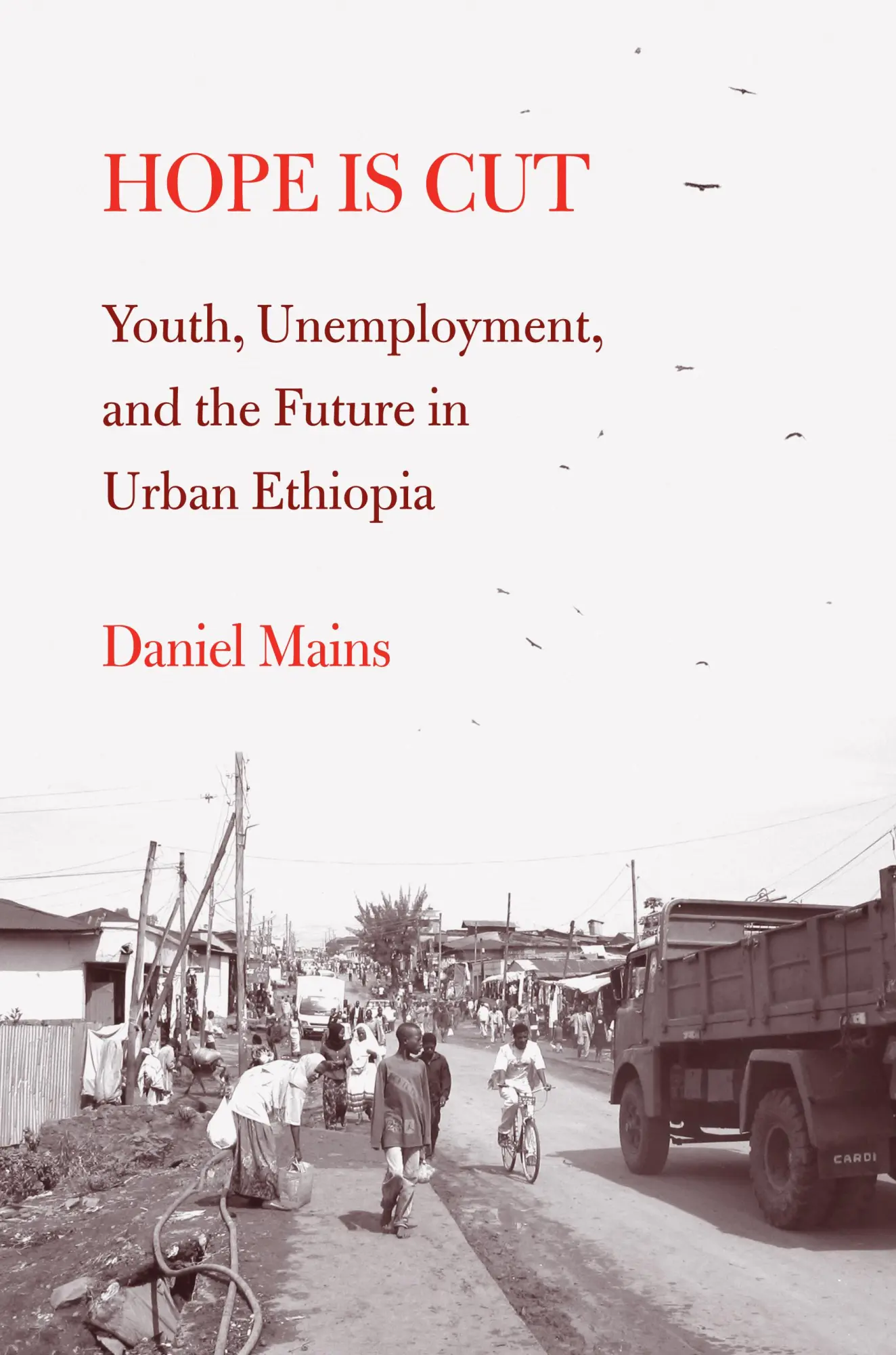 Cover: 9781439904800 | Hope Is Cut | Youth, Unemployment, and the Future in Urban Ethiopia