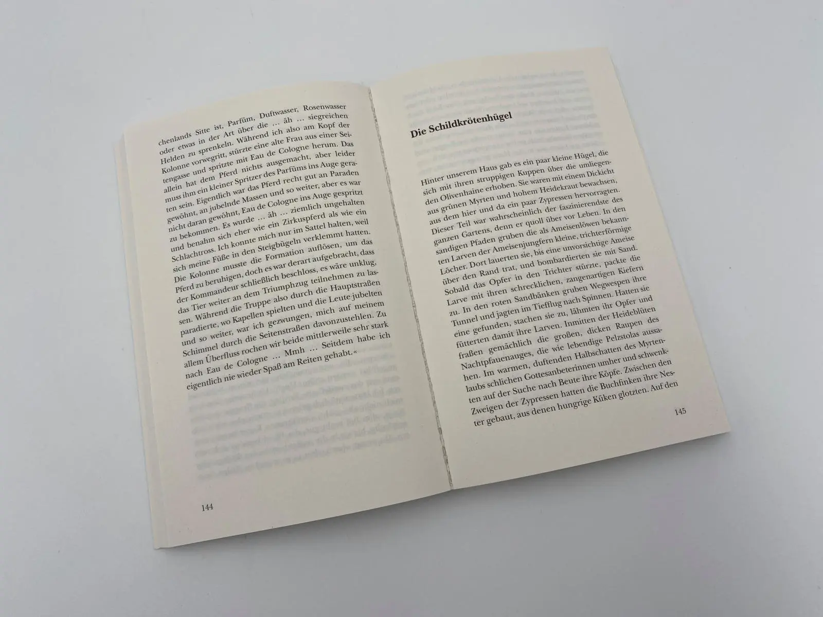 Bild: 9783492314800 | Meine Familie und andere Tiere | Gerald Durrell | Taschenbuch | 400 S.