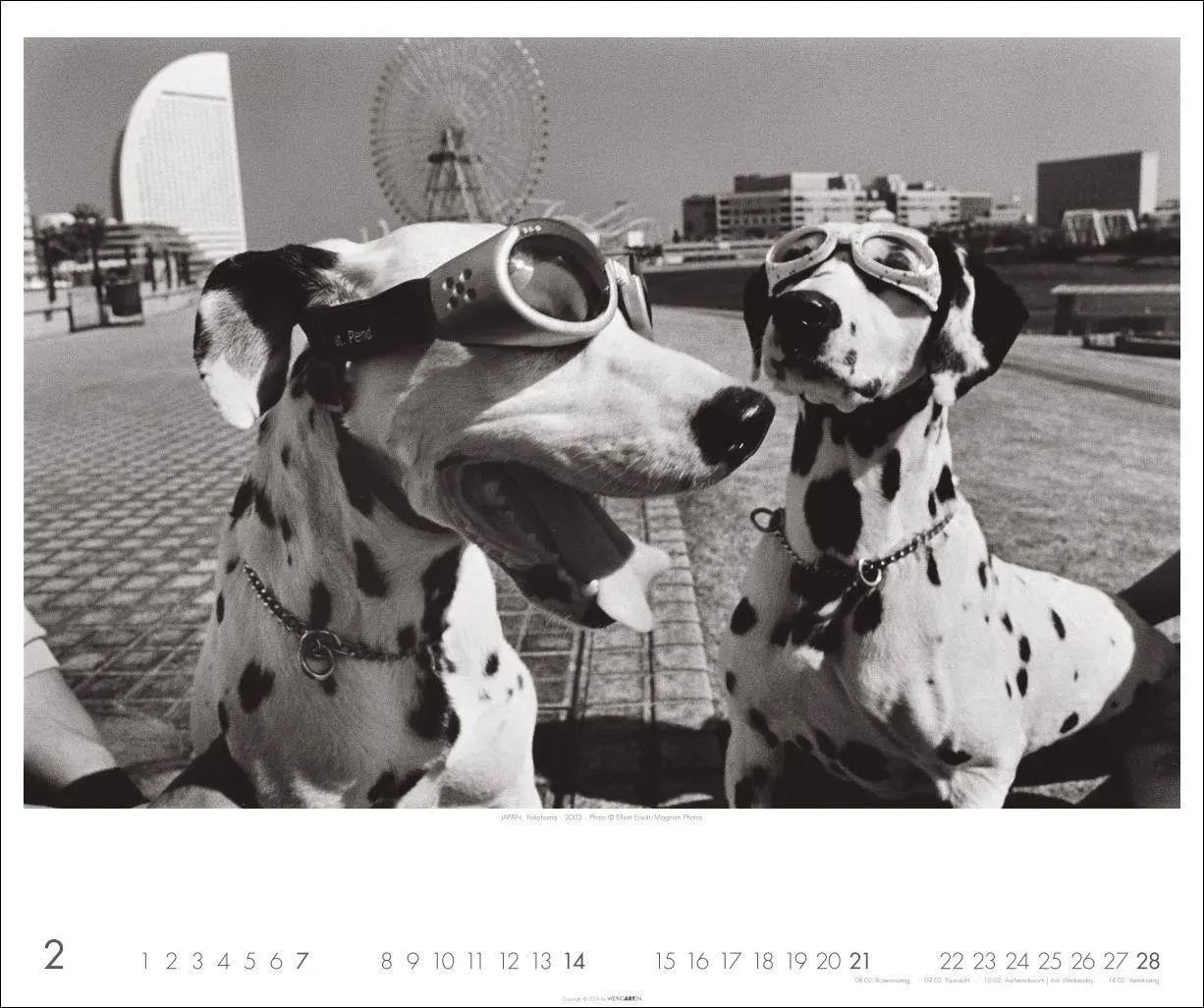 Bild: 9783839904800 | Magnum Photos - Elliott Erwitt Kalender 2027 | Elliott Erwitt | 14 S.