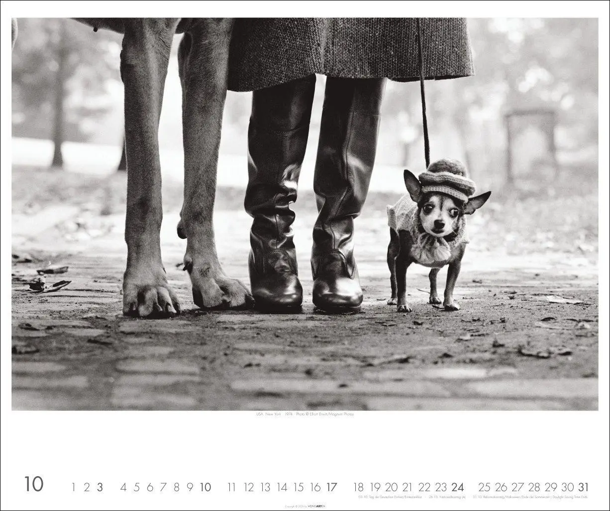 Bild: 9783839904800 | Magnum Photos - Elliott Erwitt Kalender 2027 | Elliott Erwitt | 14 S.