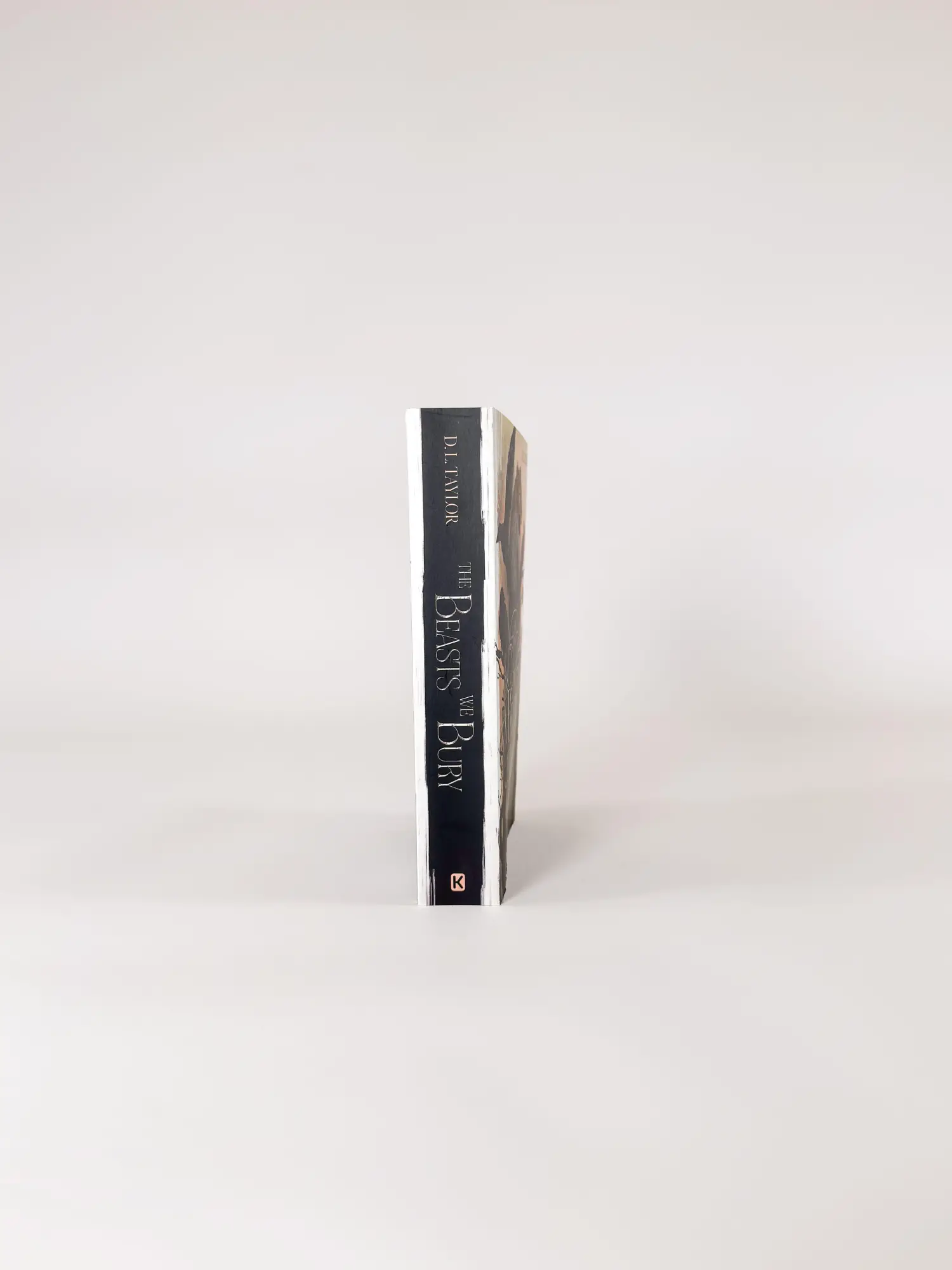 Bild: 9783961294800 | The Beasts We Bury (Band 1) | D. L. Taylor | Taschenbuch | 432 S.