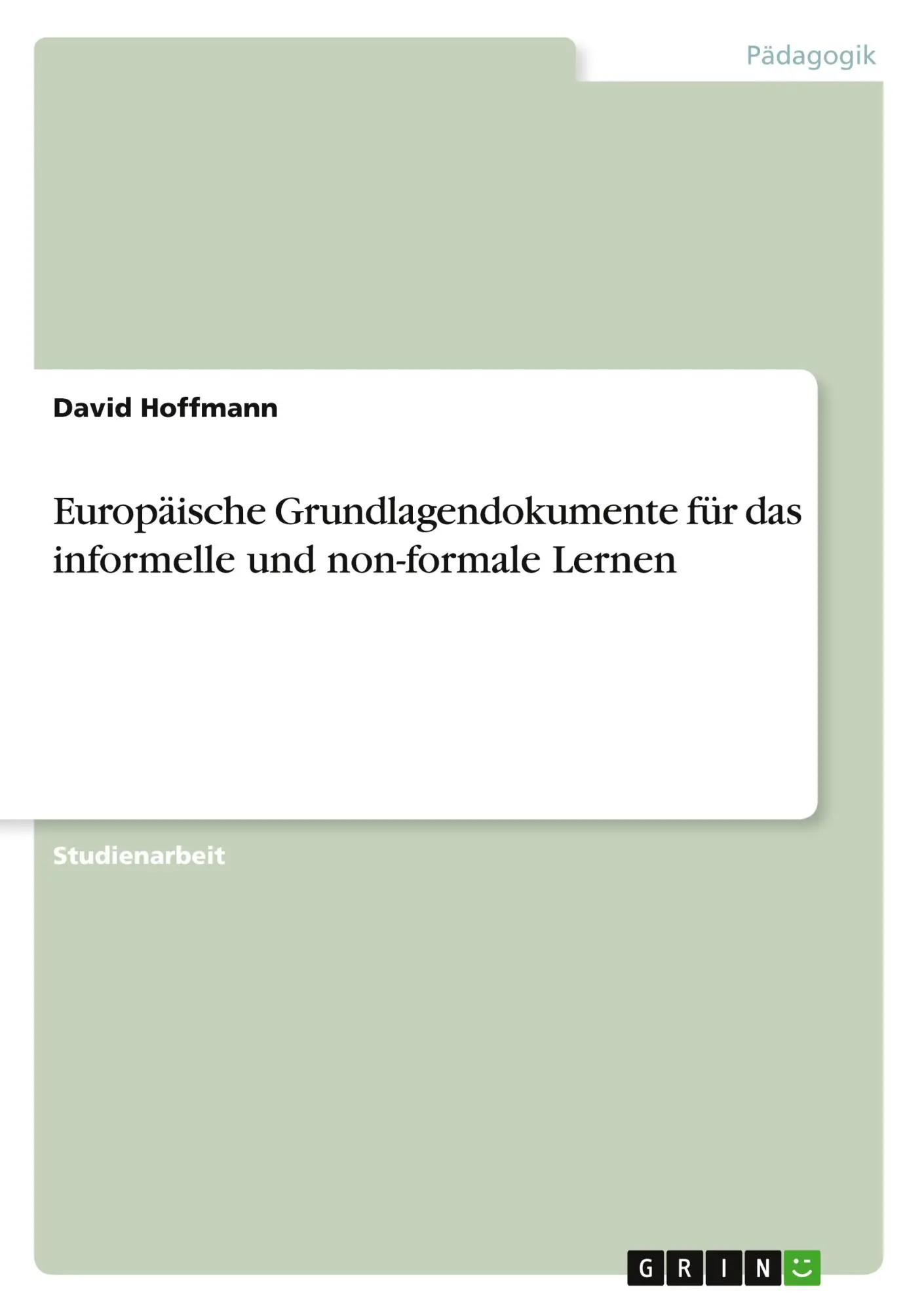 Cover: 9783656015000 | Europäische Grundlagendokumente für das informelle und non-formale...
