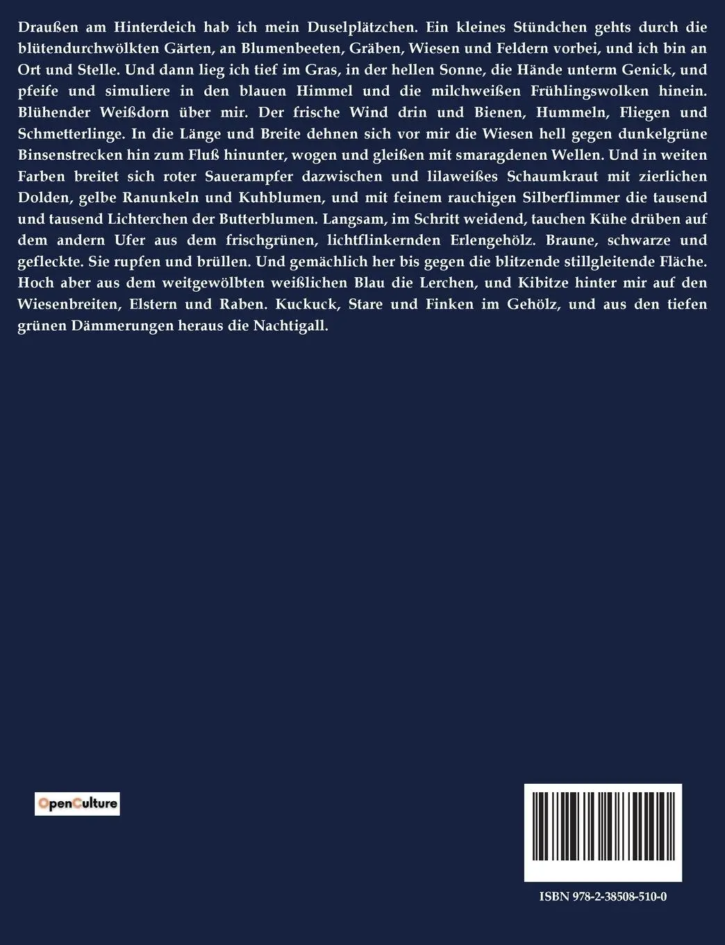 Rückseite: 9782385085100 | Frühling | Johannes Schlaf | Taschenbuch | 40 S. | Deutsch | 2022