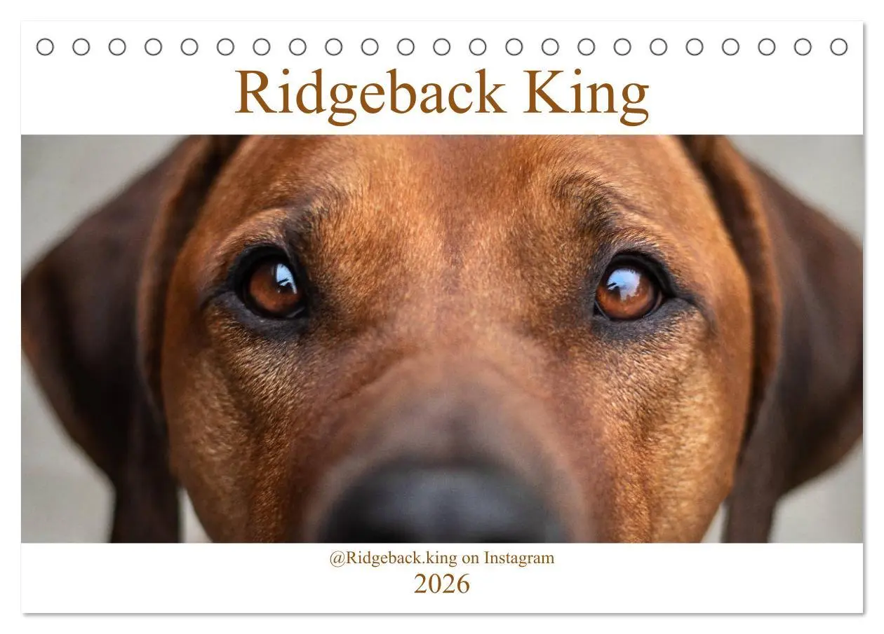 Cover: 9783457705100 | Ridgeback King (Tischkalender 2026 DIN A5 quer), CALVENDO...