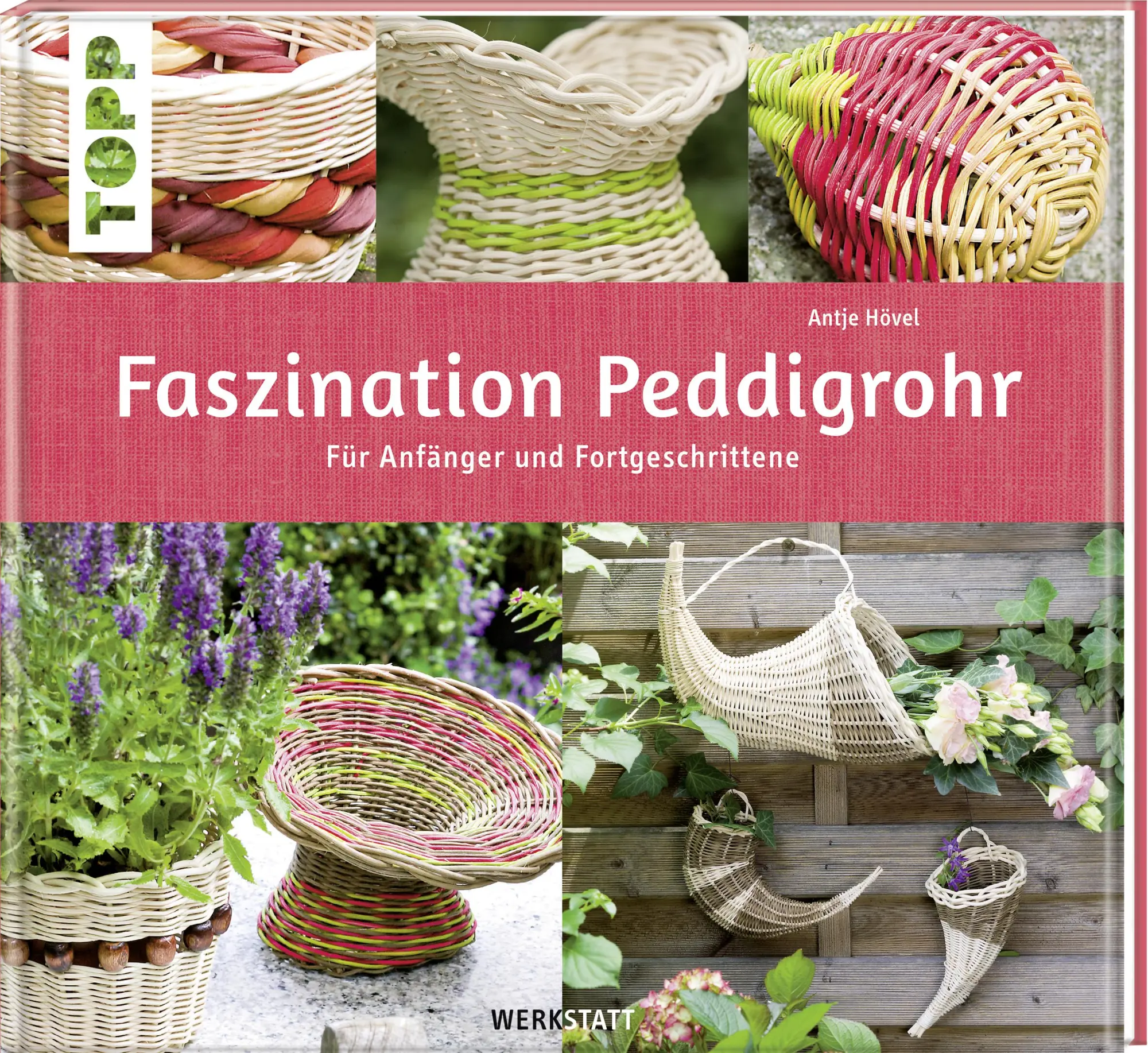 Cover: 9783772455100 | Faszination Peddigrohr | Für Anfänger und Fortgeschrittene | Hövel