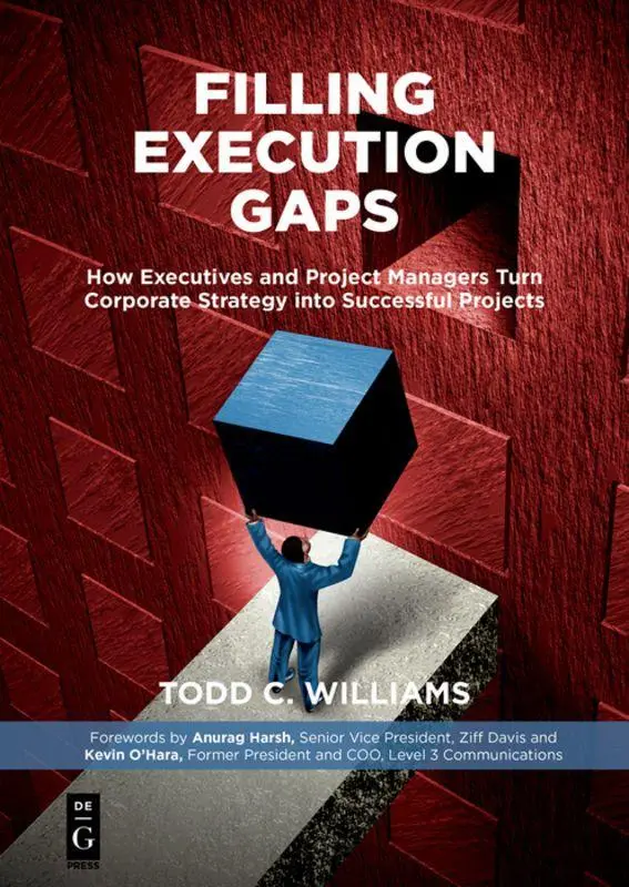 Cover: 9781501515200 | Filling Execution Gaps | Todd C. Williams | Taschenbuch | XL | 2017