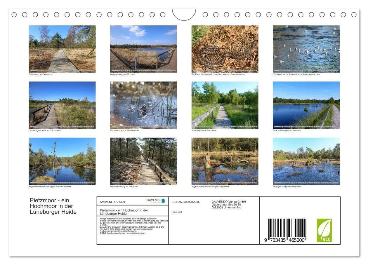 Bild: 9783435465200 | Pietzmoor - ein Hochmoor in der Lüneburger Heide (Wandkalender 2025...