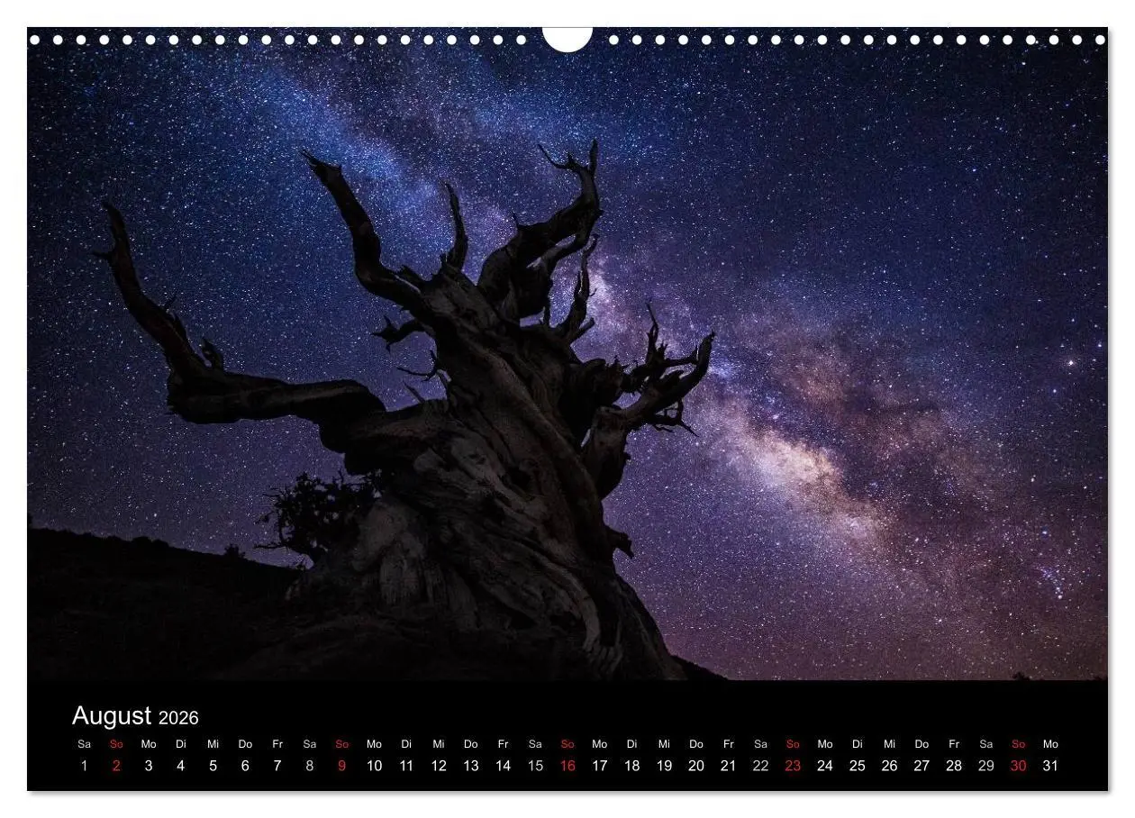 Bild: 9783516025200 | Sternensucher - Landschaft unter Sternen (Wandkalender 2026 DIN A3...