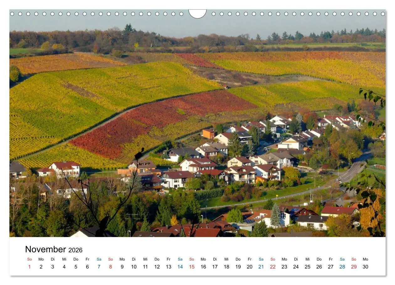 Bild: 9783516195200 | Württemberger Wein 2026 (Wandkalender 2026 DIN A3 quer), CALVENDO...