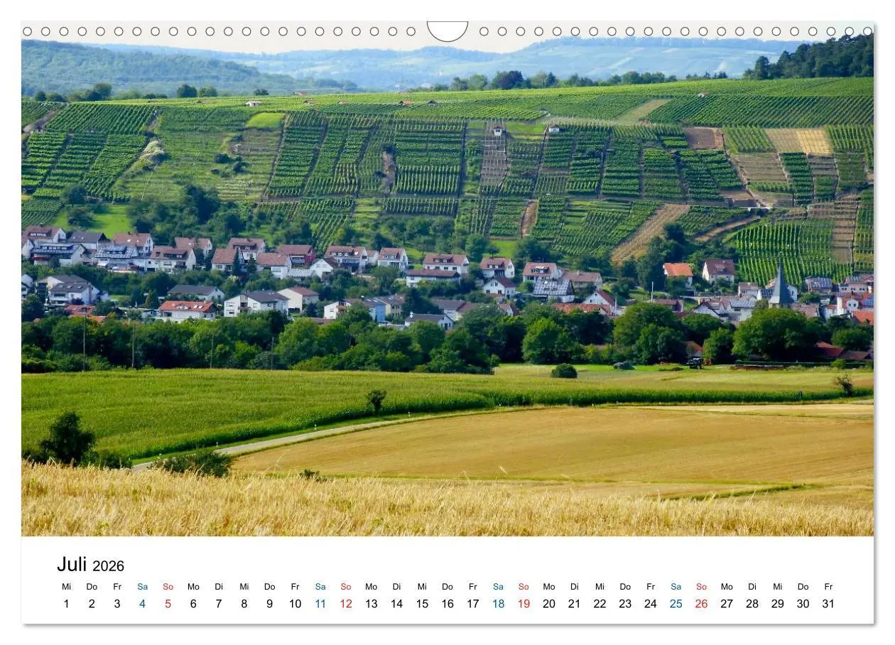Bild: 9783516195200 | Württemberger Wein 2026 (Wandkalender 2026 DIN A3 quer), CALVENDO...